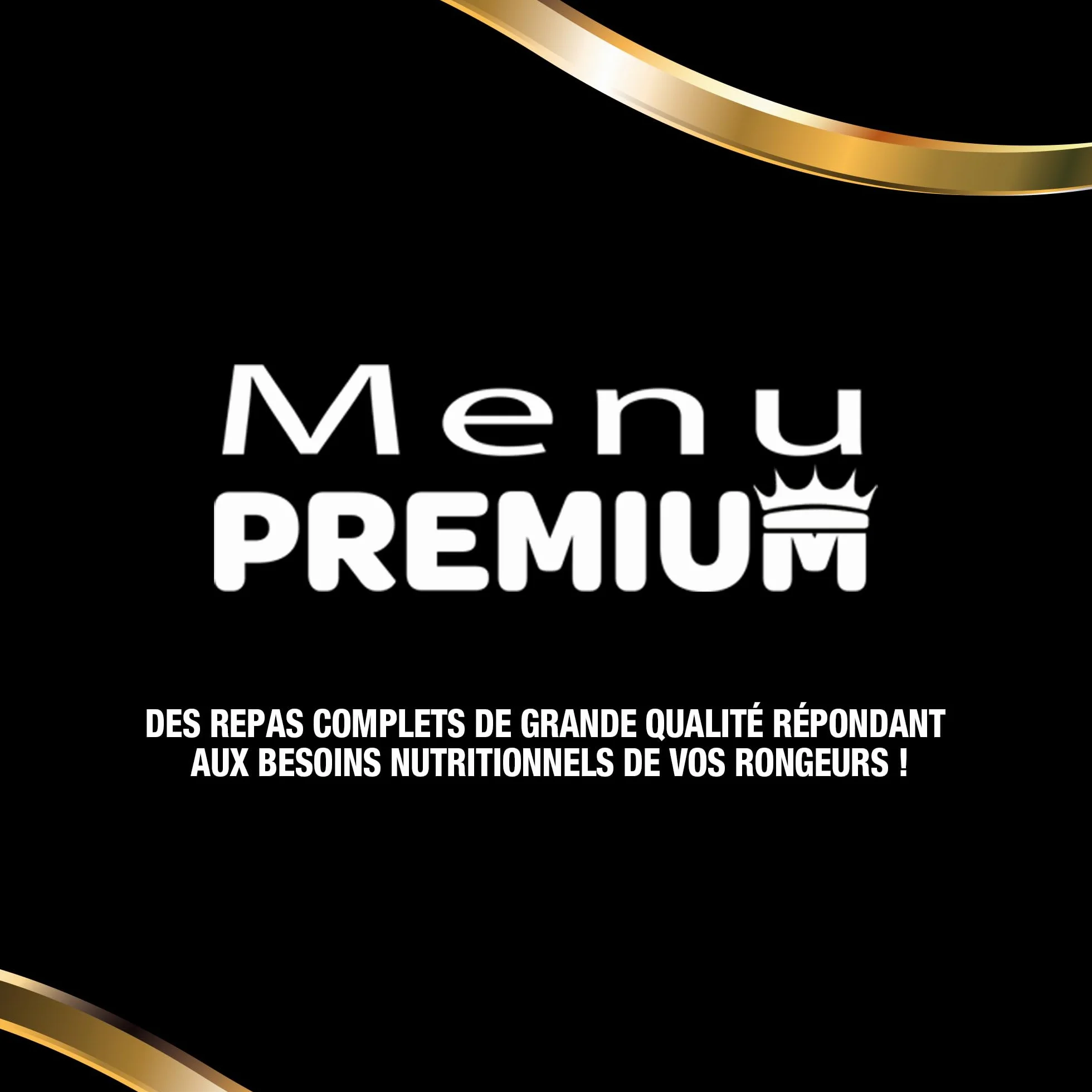 Menu Premium pour Rongeur Granivores Riga - Mélange de Graines, Céréales, Légumes, Fruits et Noix - 500 g