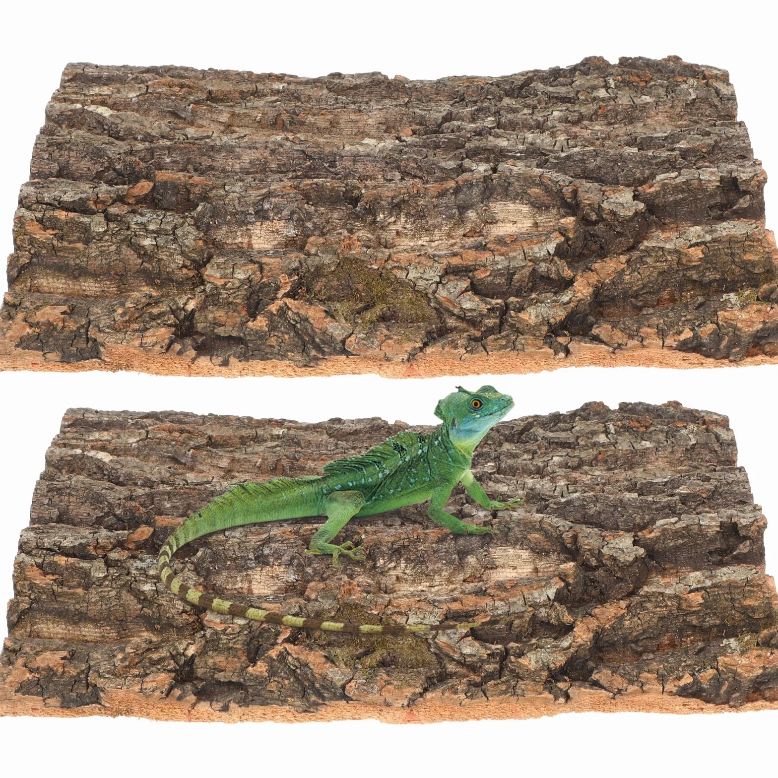 TOYANDONA Lot de 2 fonds en écorce de liège naturel pour reptile – Décoration de terrarium