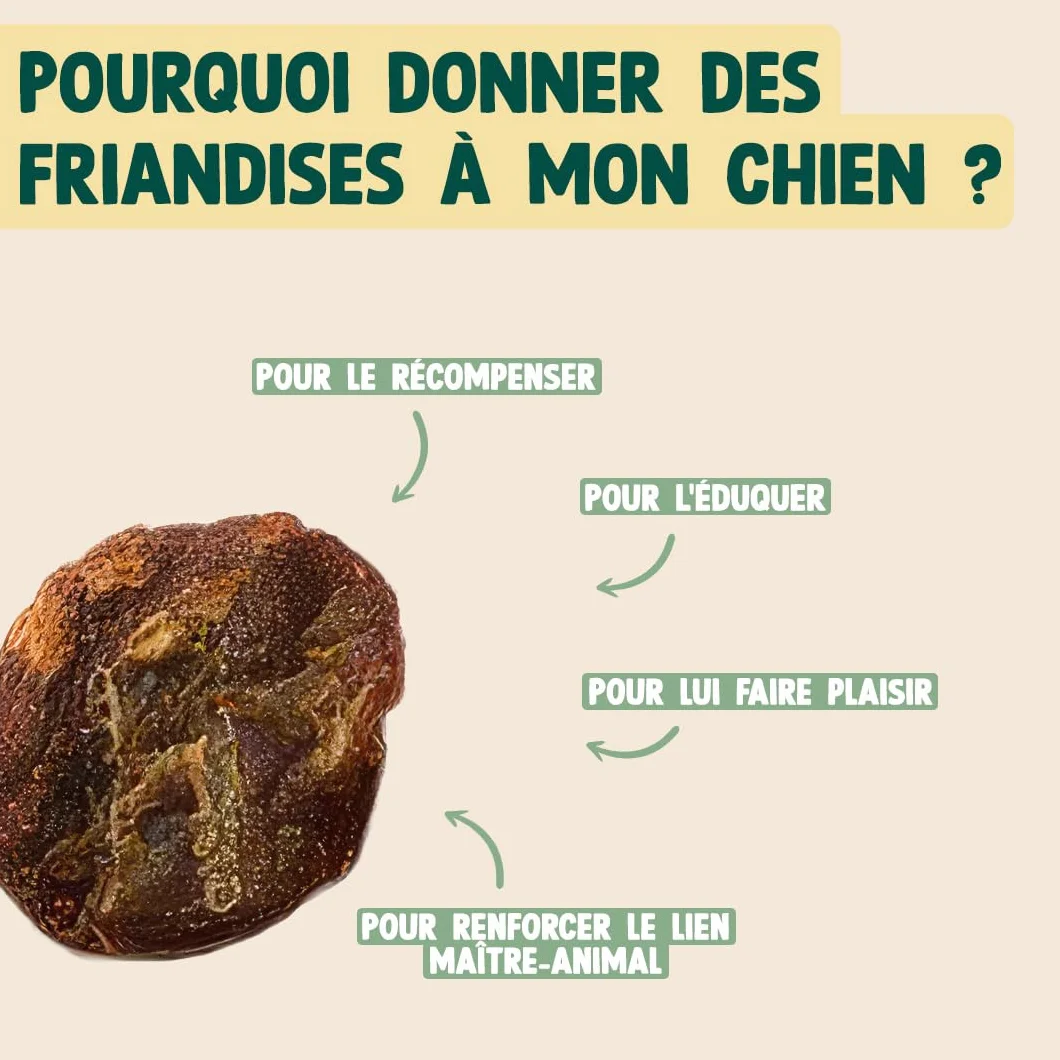 Franklin Friandise pour Chiot 90% Bœuf sans Céréales Riche en Protéines 80 g