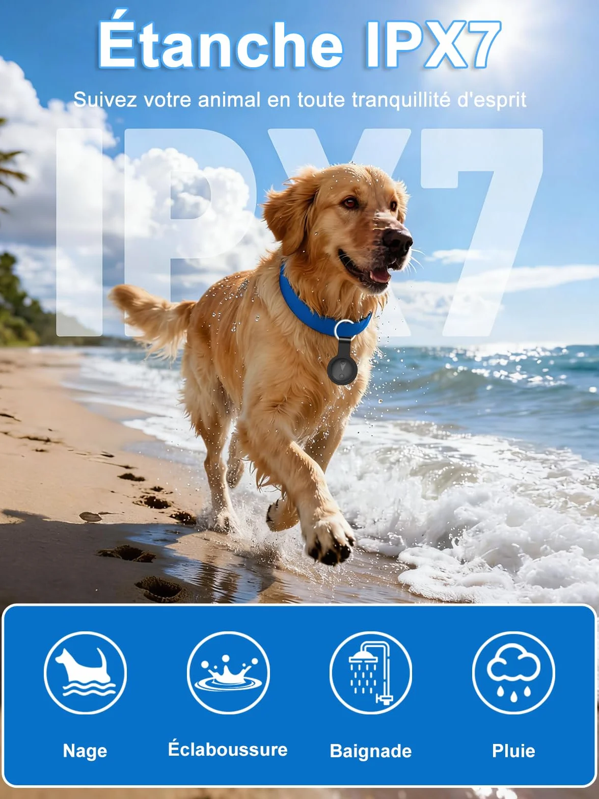 Collier GPS Chat Chien Suivi Localisation Temps Réel Mini Traceur sans Abonnement Compatible iOS Android Longue Autonomie Noir