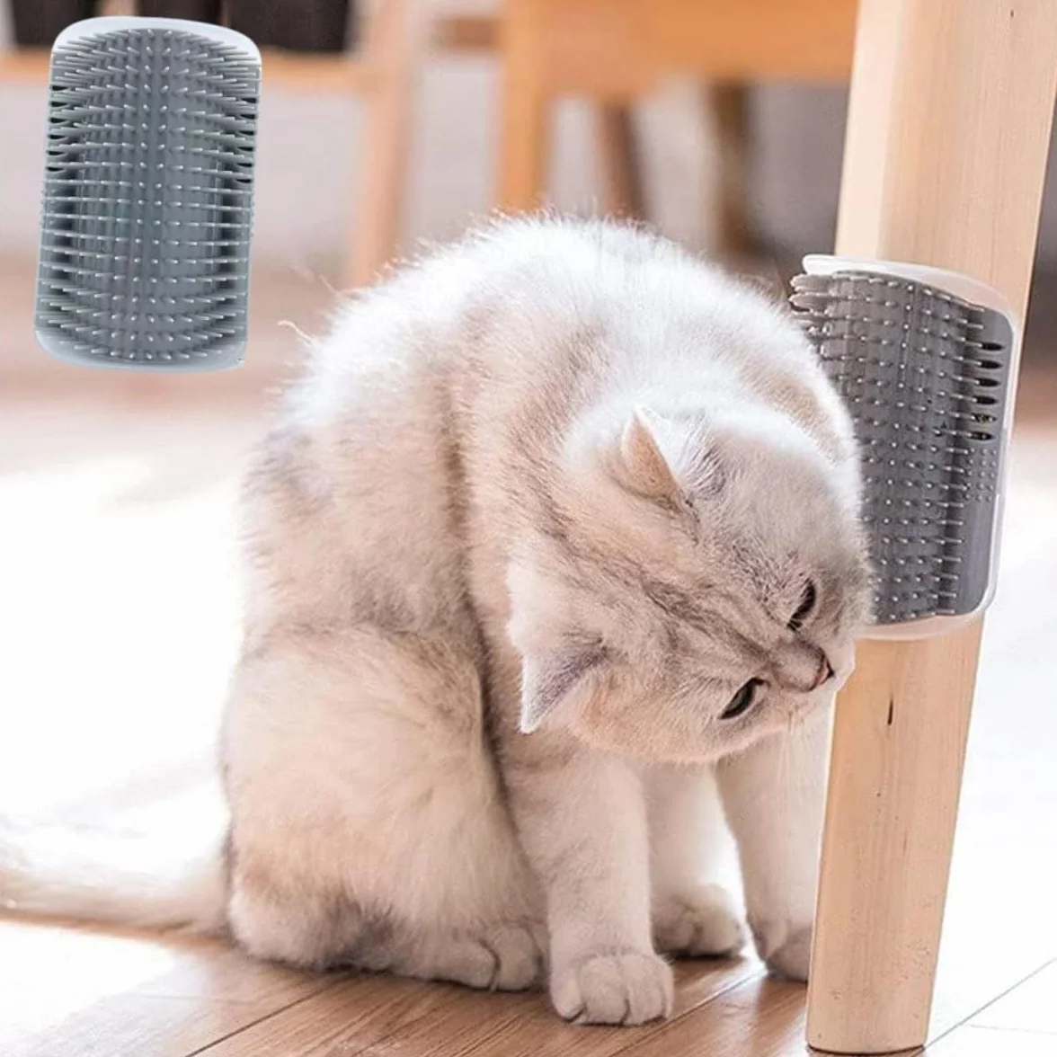 Brosse pour Chat Murale Coin, 2 Pièces Peigne Toiletteur avec Herbe à Chats et Vis