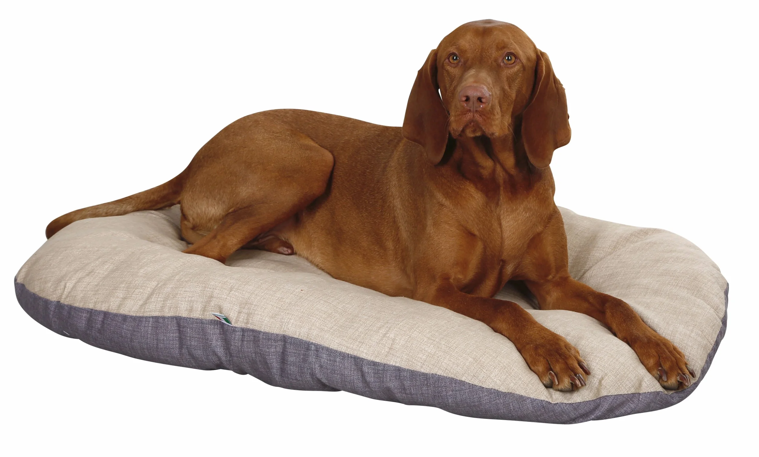 KERBL Coussin pour Chien 120 x 85 cm Gris Beige