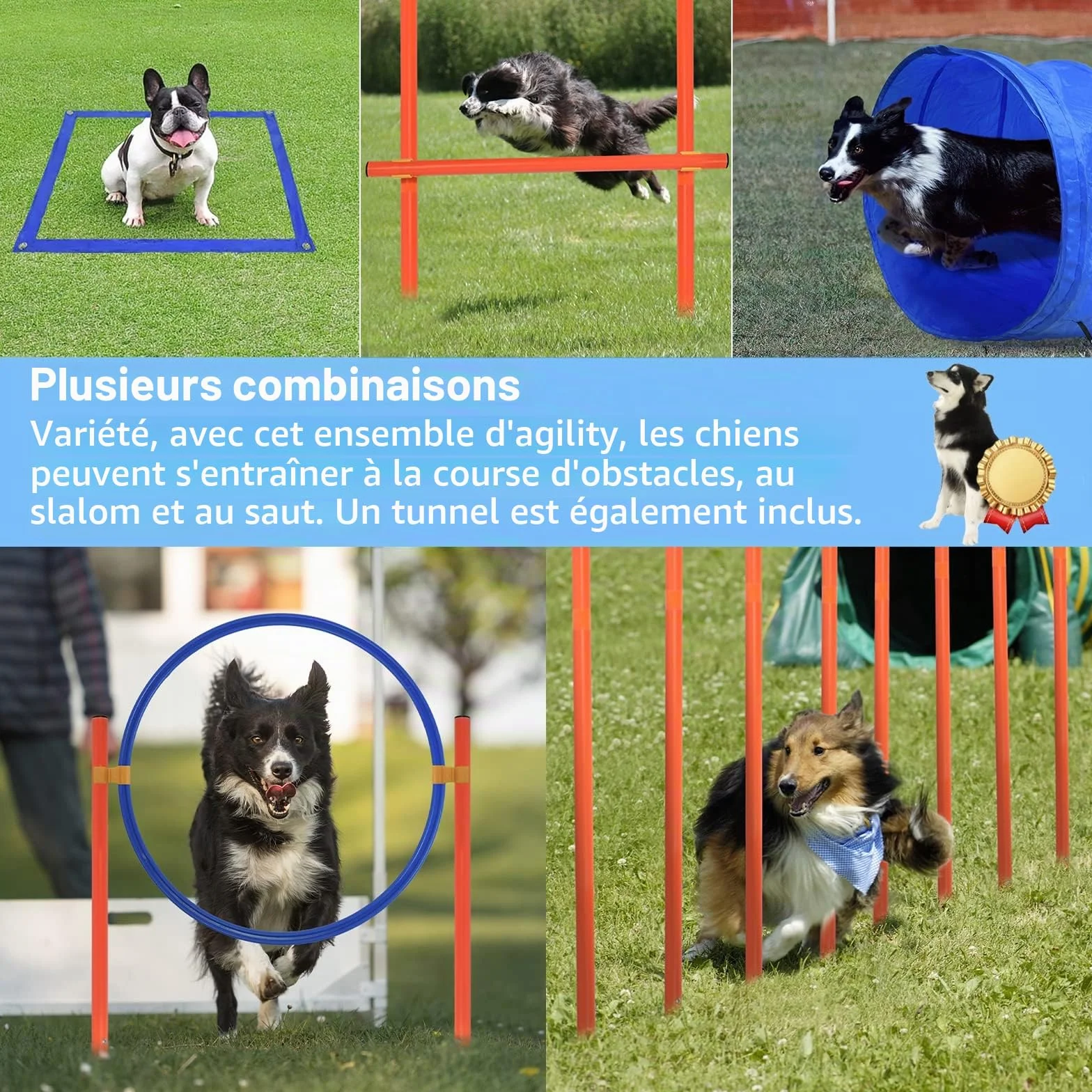 Kit d'équipement d'agilité pour chiens avec tunnel, barres de slalom réglables en hauteur et sac de transport