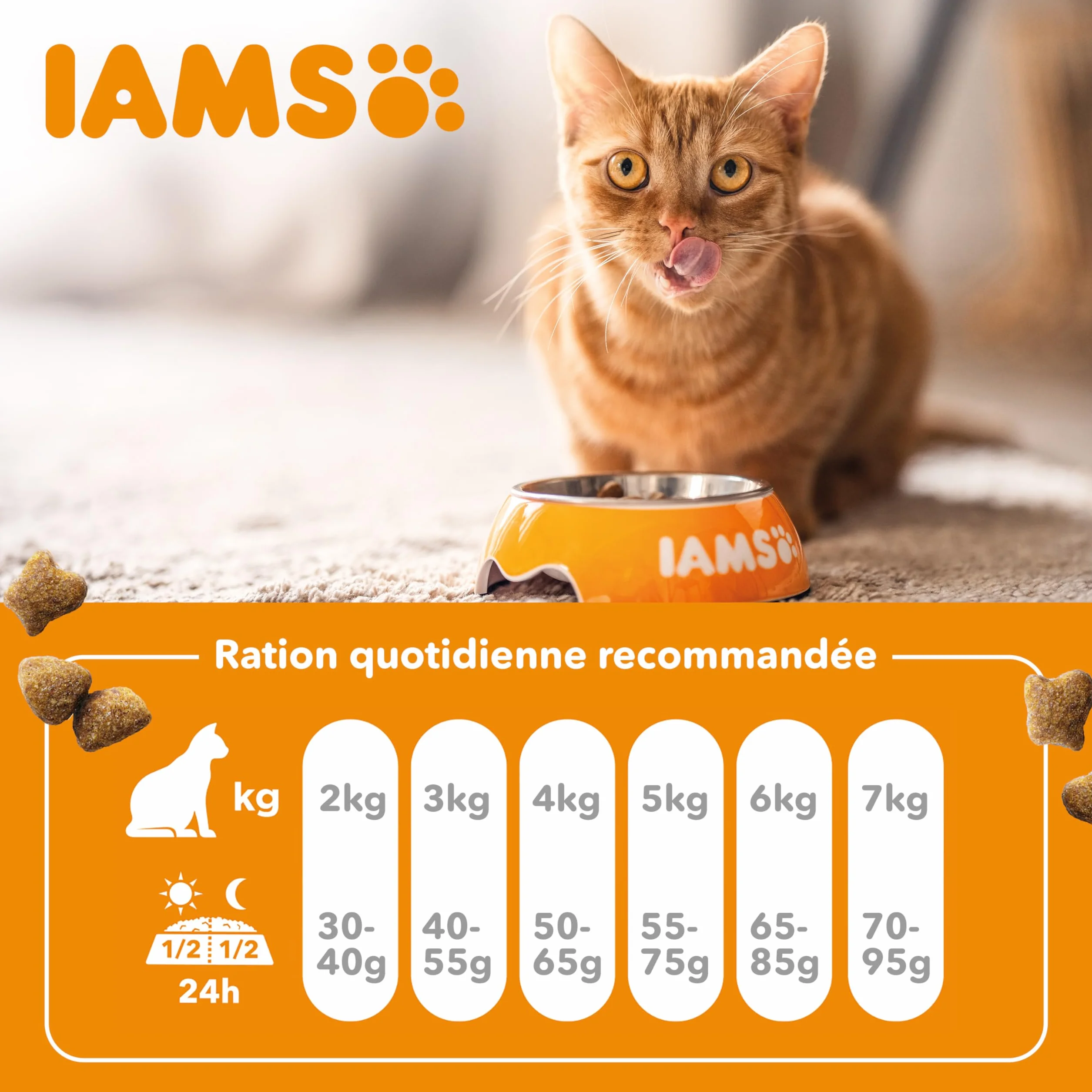 IAMS Croquette au Poulet pour Chat Adulte 10 kg