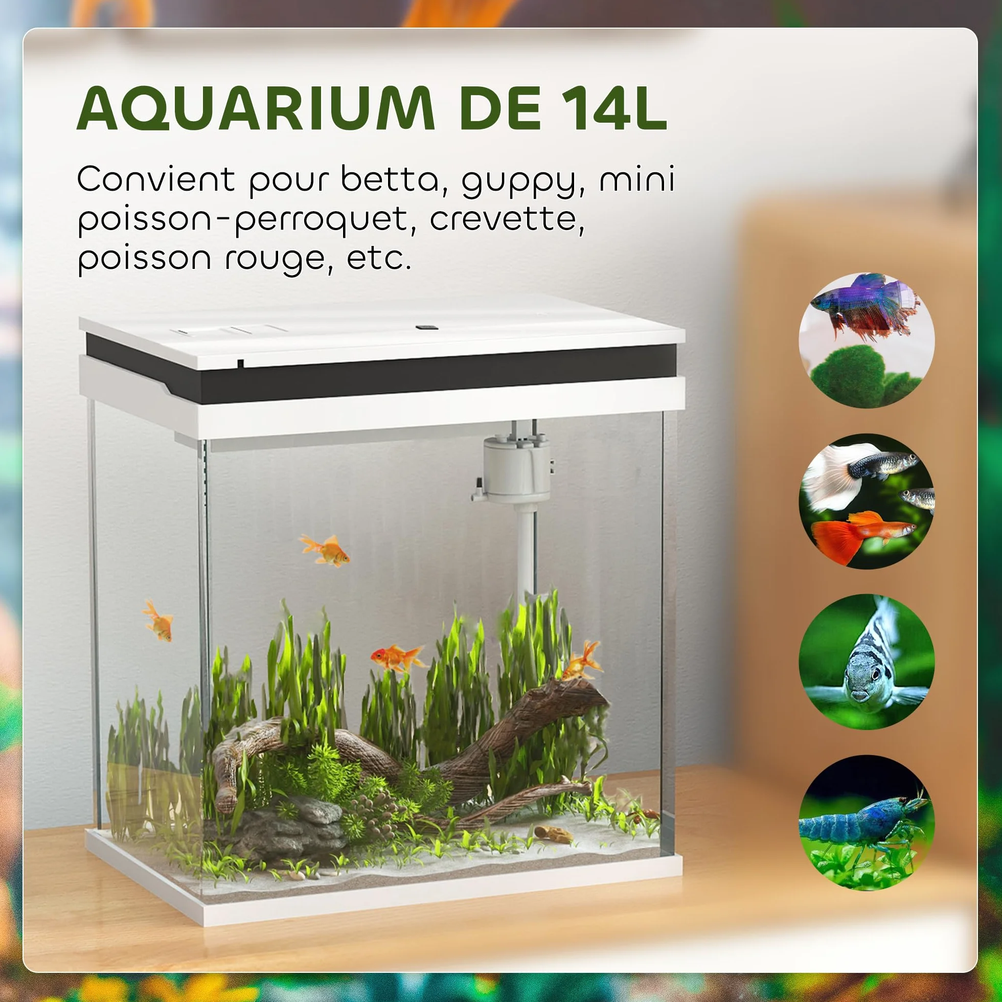 PawHut Petit Aquarium Complet 14L en Verre avec Filtration LED et Pompe à Eau