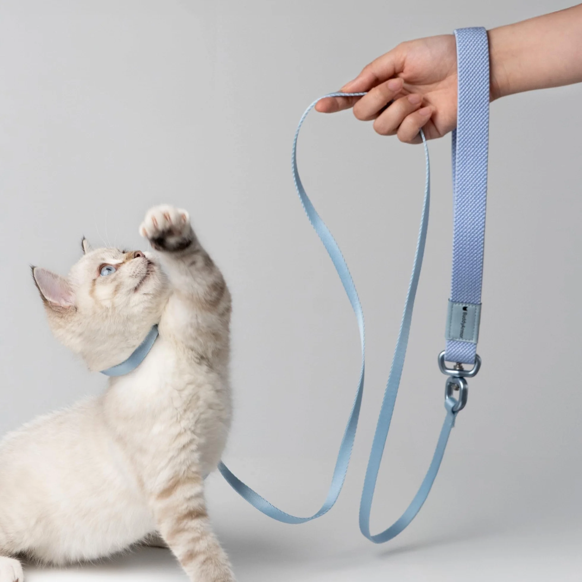 Harnais et laisse pour chat anti-fuite nylon rouge vif