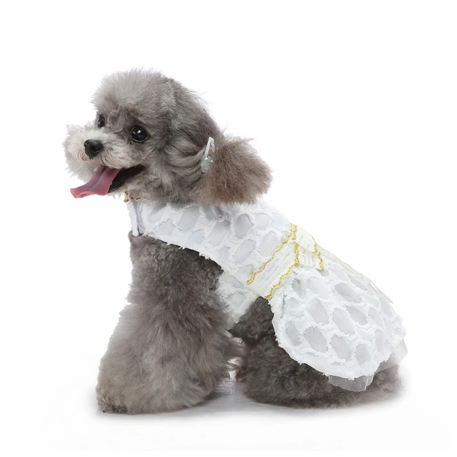 Robe de Chien Nœud Papillon Jupe Princesse Blanche Dentelle Vêtement Été Mariage (M)