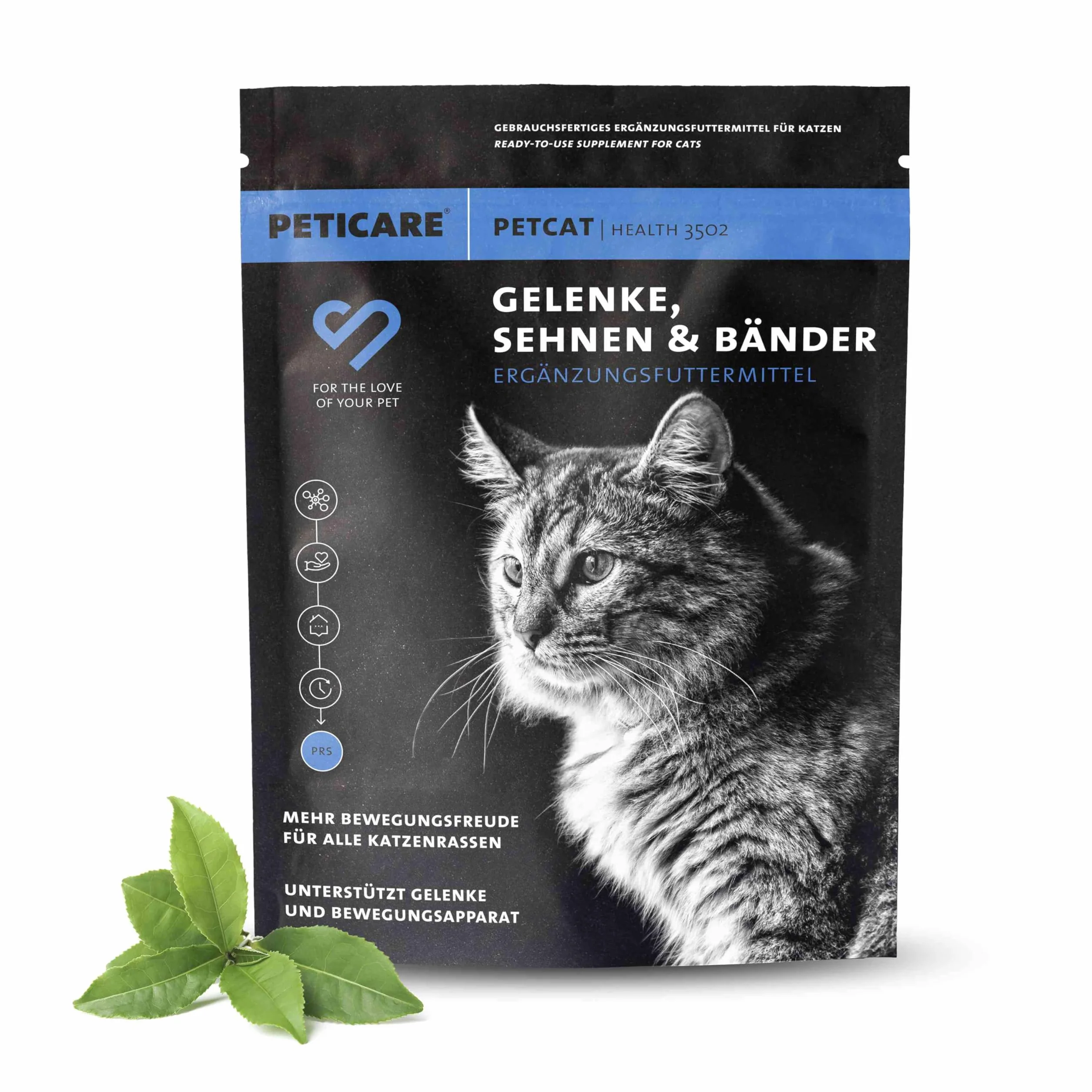 Peticare articulations arthrose Poudre pour Chats MSM collagène complément Alimentaire Naturel