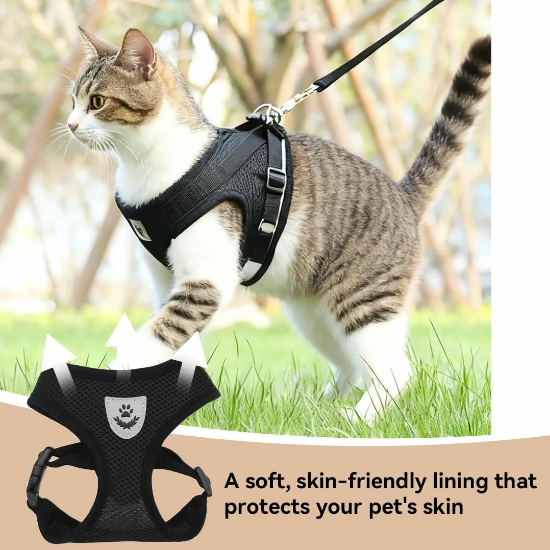 Harnais pour Chat 3 en 1 avec Laisse et Ceinture de Sécurité, Ajustable 42-56cm, pour Petit Chat 4-6kg