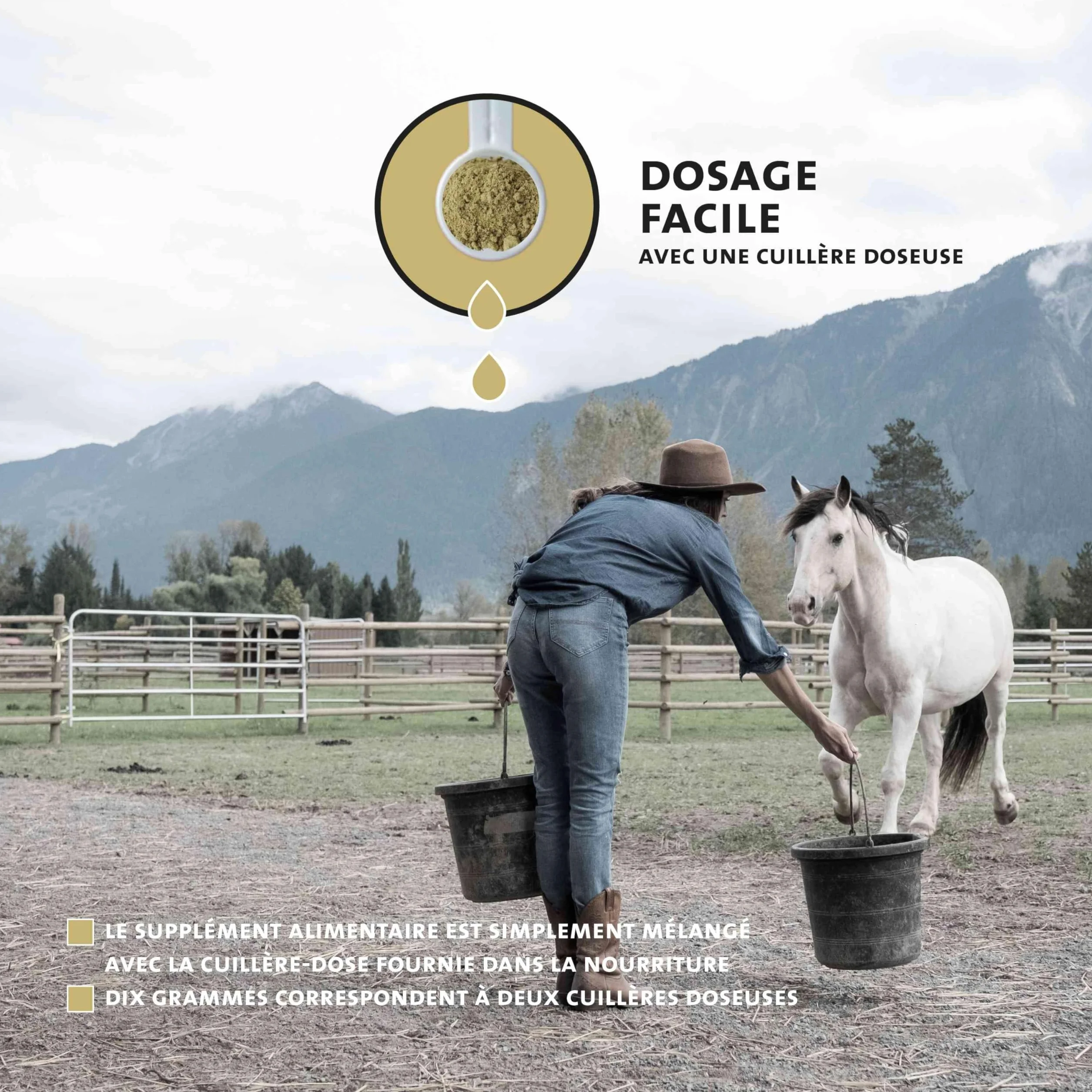 Peticare Poudre Contre la toux pour Chevaux | Soutient Voies respiratoires & rhume | Dissolution Mucus | Formule Naturelle Poudre d'herbes sans OGM