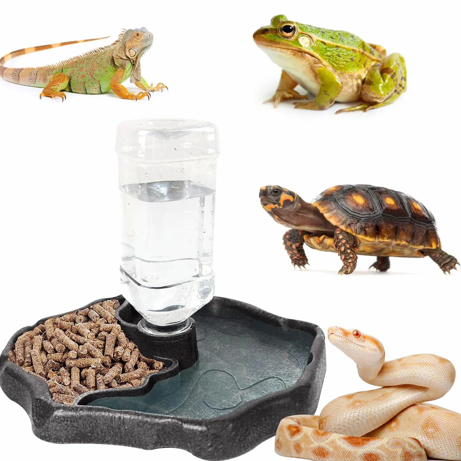 Funmo Distributeur d'eau pour Reptile 2 en 1 Anti Débordement Plastique Brun