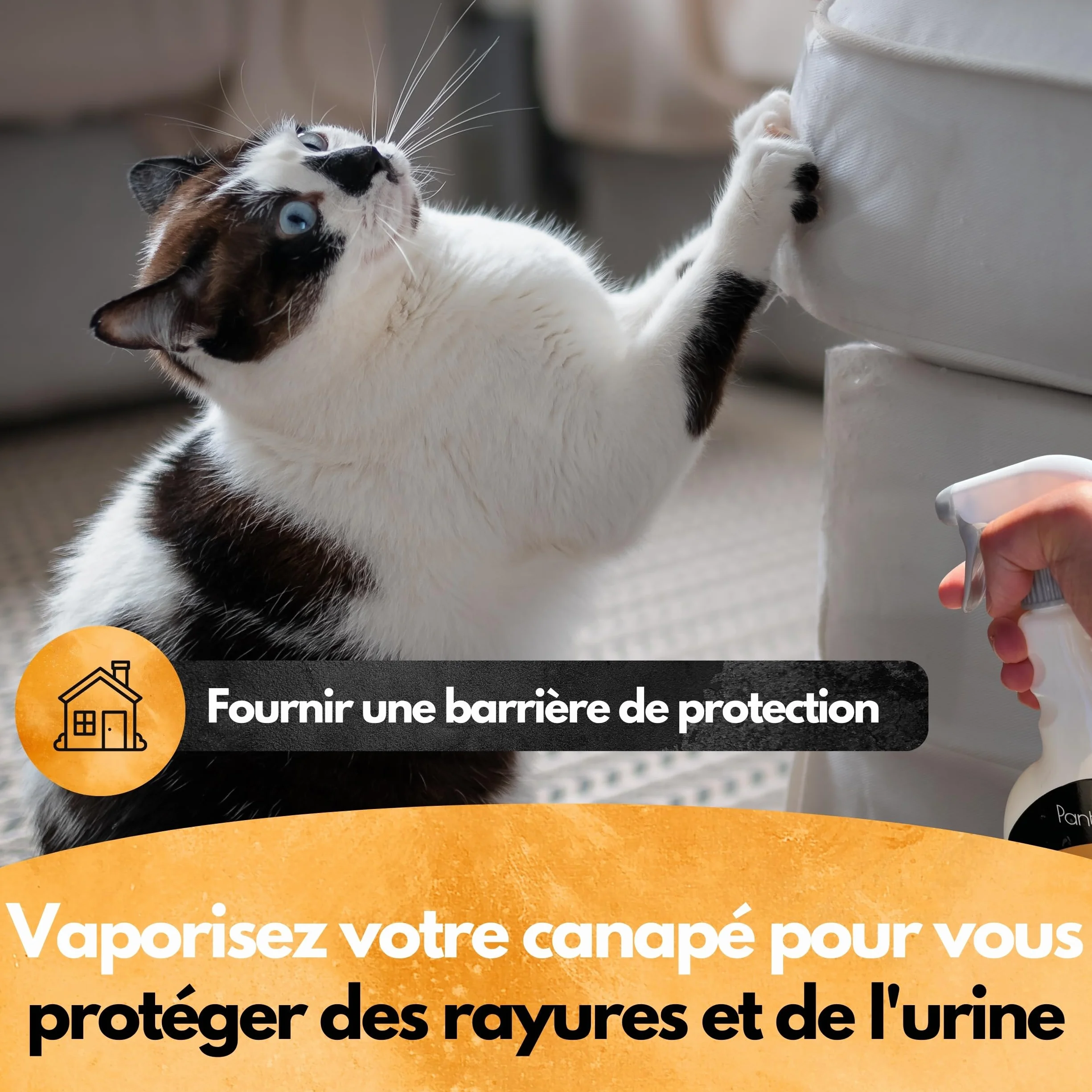 Panteer Spray répulsif pour chats 500ml - Protection longue durée contre urine - Eucalyptus
