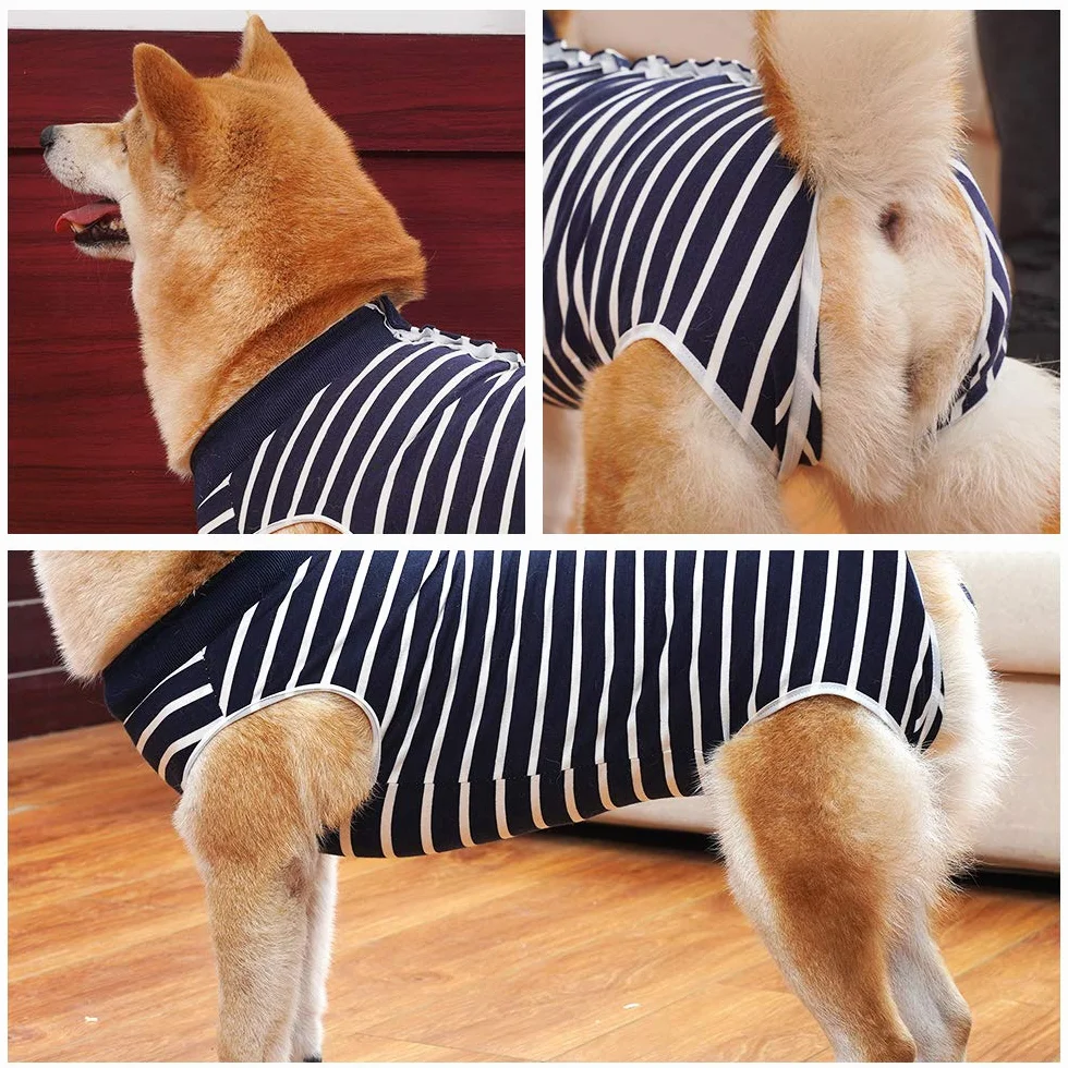 LIANZIMAU Combinaison de Récupération Chirurgicale pour Chien Anti-lécher Costume Protecteur Blessures Abdominales
