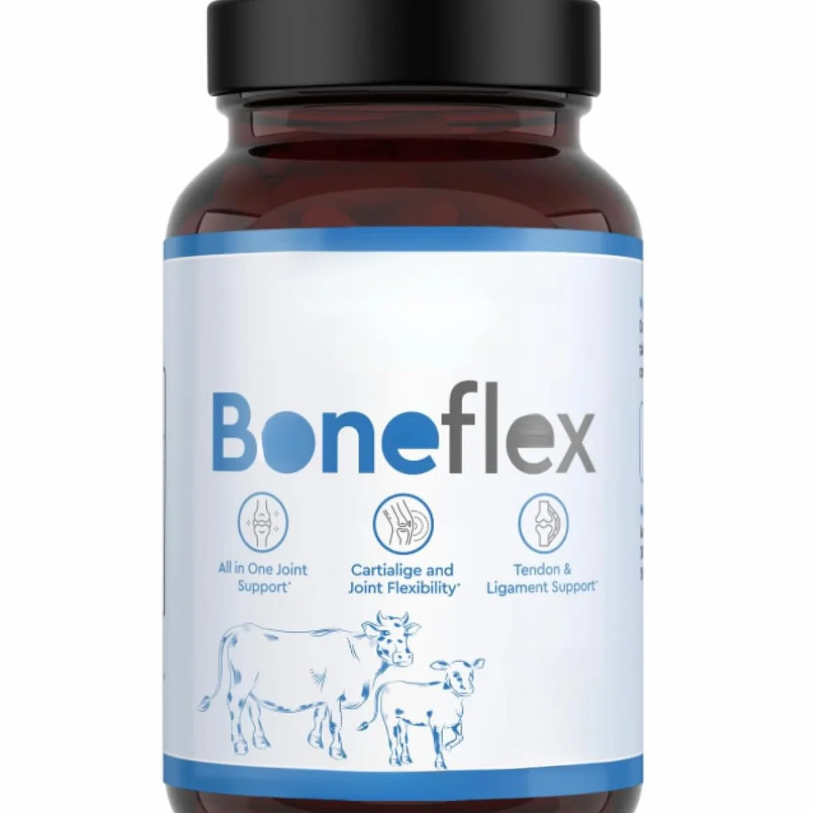 Boneflex Améliore la flexibilité du cartilage et des articulations, maintient la stabilité et réduit les blessures sportives