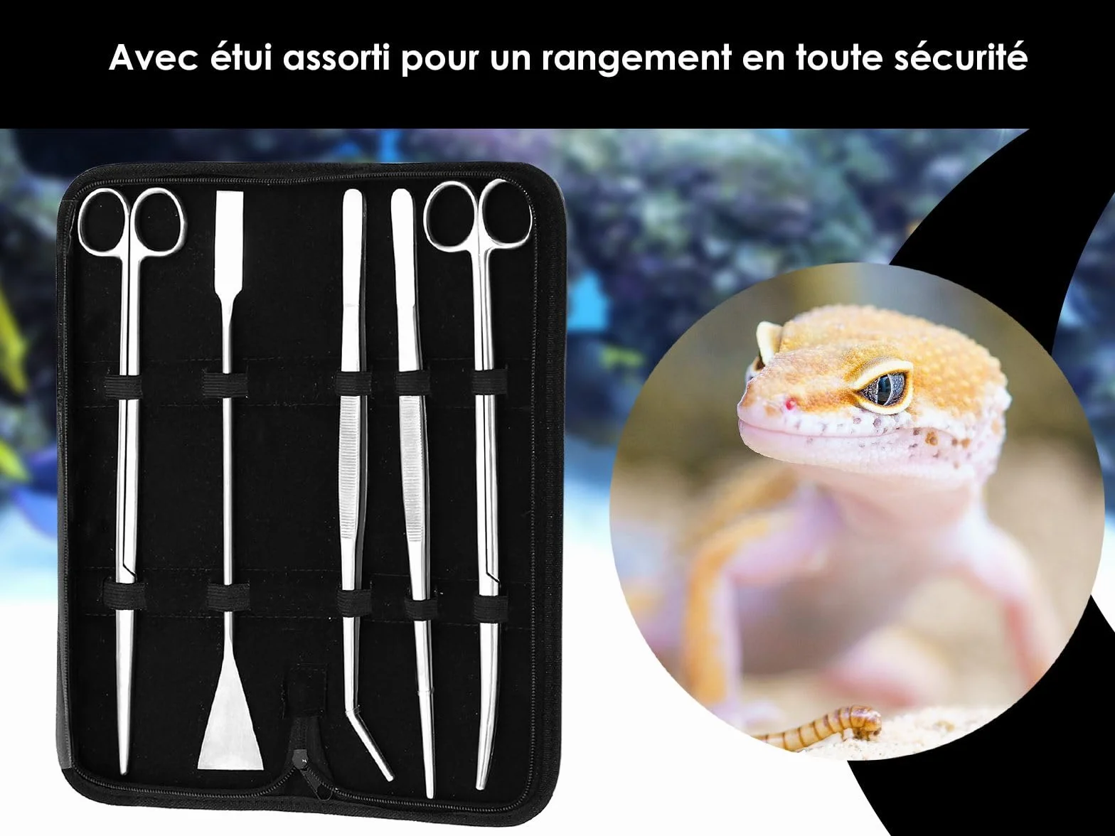 Kit complet pour aquarium-terrarium en acier inoxydable - Pinces, ciseaux, spatule à gravier