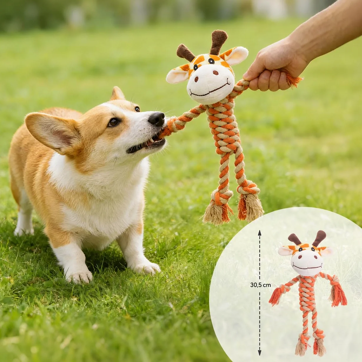 Potaroma Jouet à Mâcher pour Chien, Corde en Coton avec Peluche Crocodile