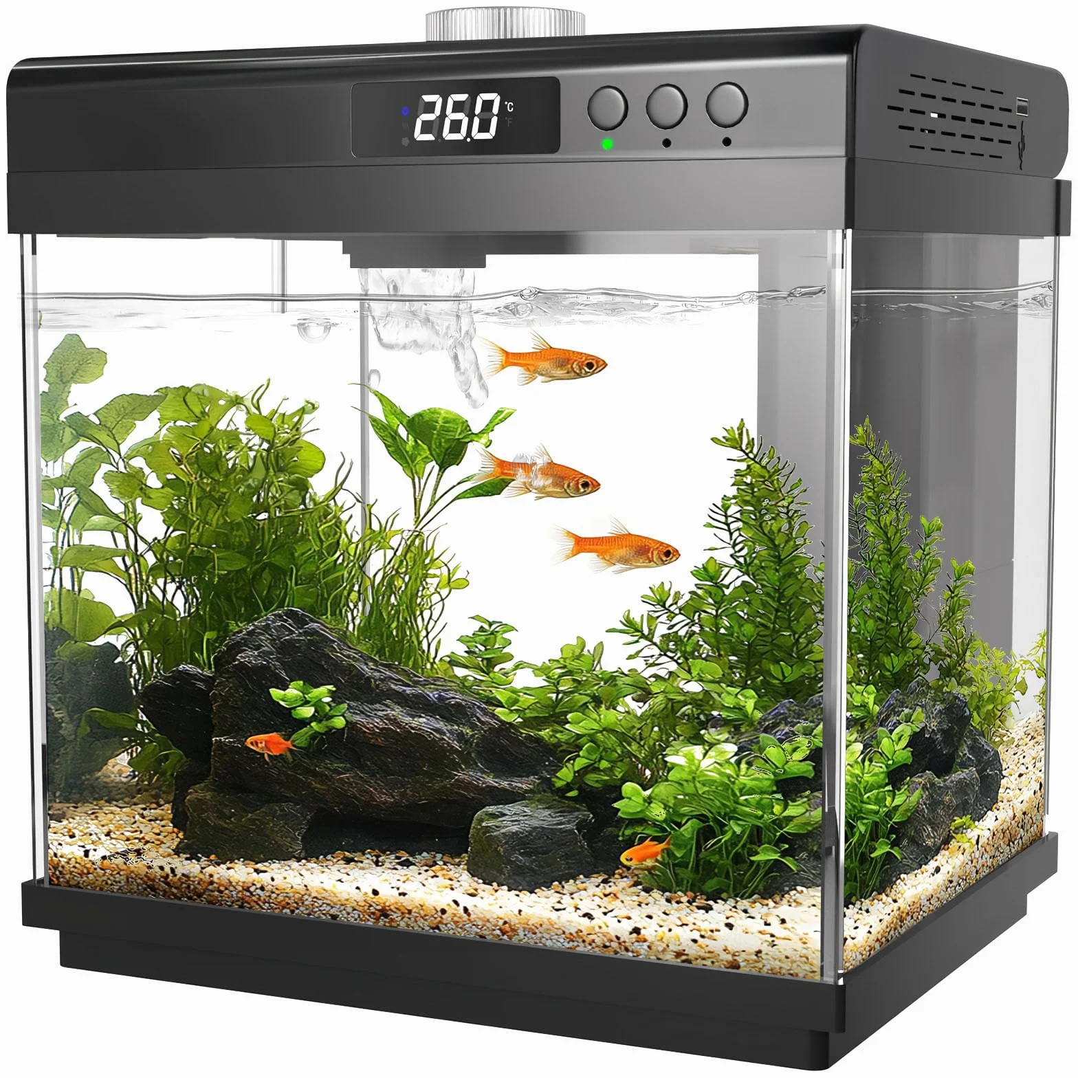 AQQA Kit de Démarrage Aquarium 14 L en Verre avec Filtre LED, 10 Couleurs Réglables, Nano Betta