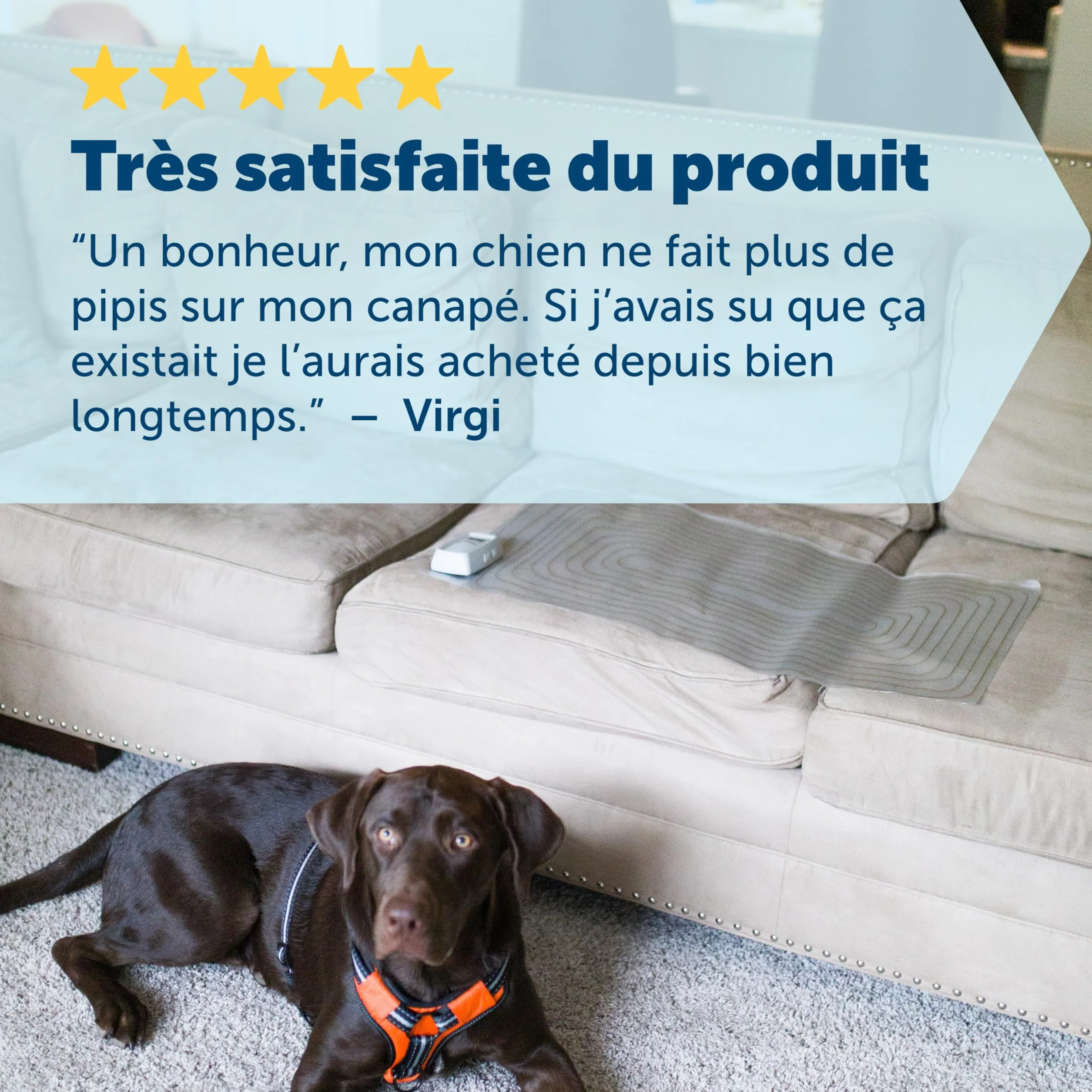 PetSafe Tapis d'entraînement électronique ScatMat Protection Meubles 7 Modes Stimulation électrostatique Taille L