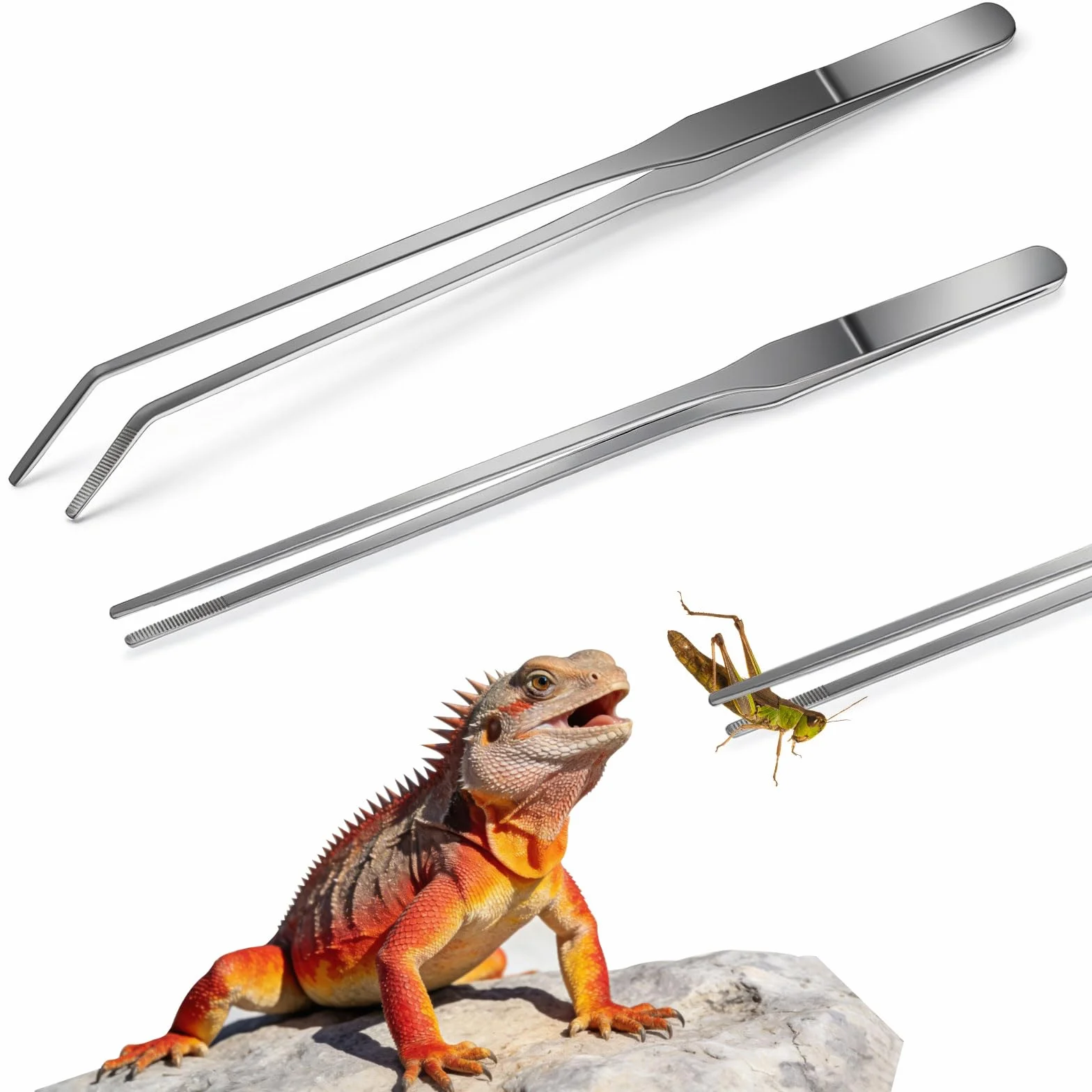 Pinces d'alimentation pour Reptiles 27 cm Pince Aquarium Protège Les Doigts Brucelle Argent