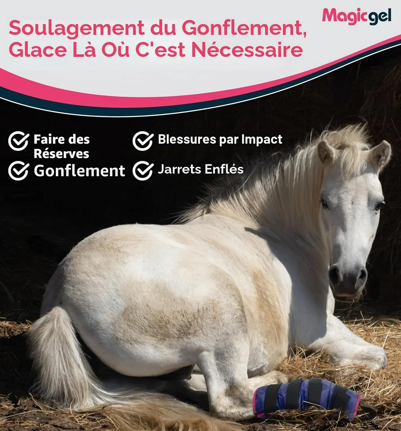 Magic Gel Pack de Gel de Glace pour Chevaux - Enveloppe Botte Guêtre de Thérapie par le Froid pour Jambe de Cheval - Poche de Glace Géante (Twin Ice Boot)