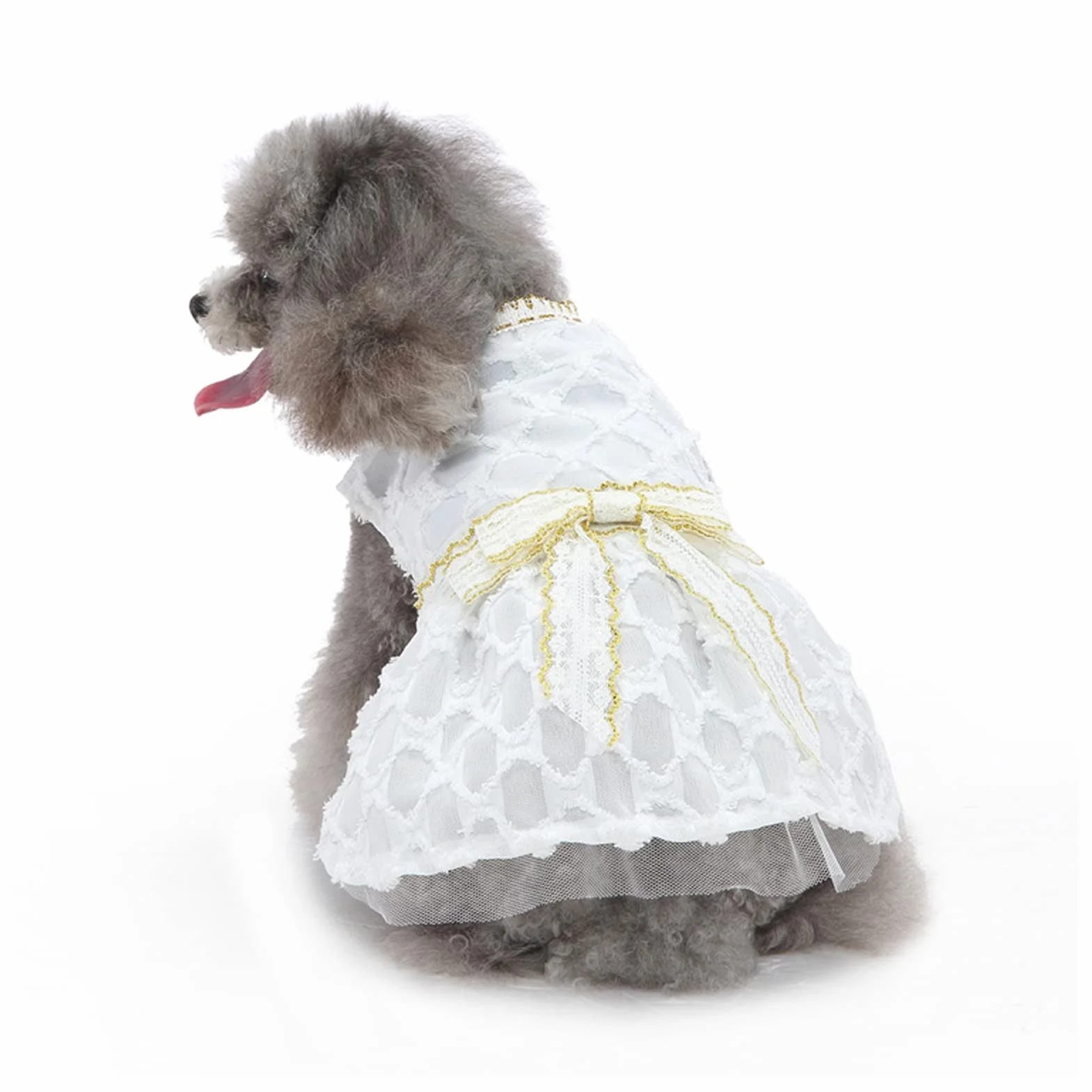 Robe de Chien Nœud Papillon Jupe Princesse Blanche Dentelle Vêtement Été Mariage (M)