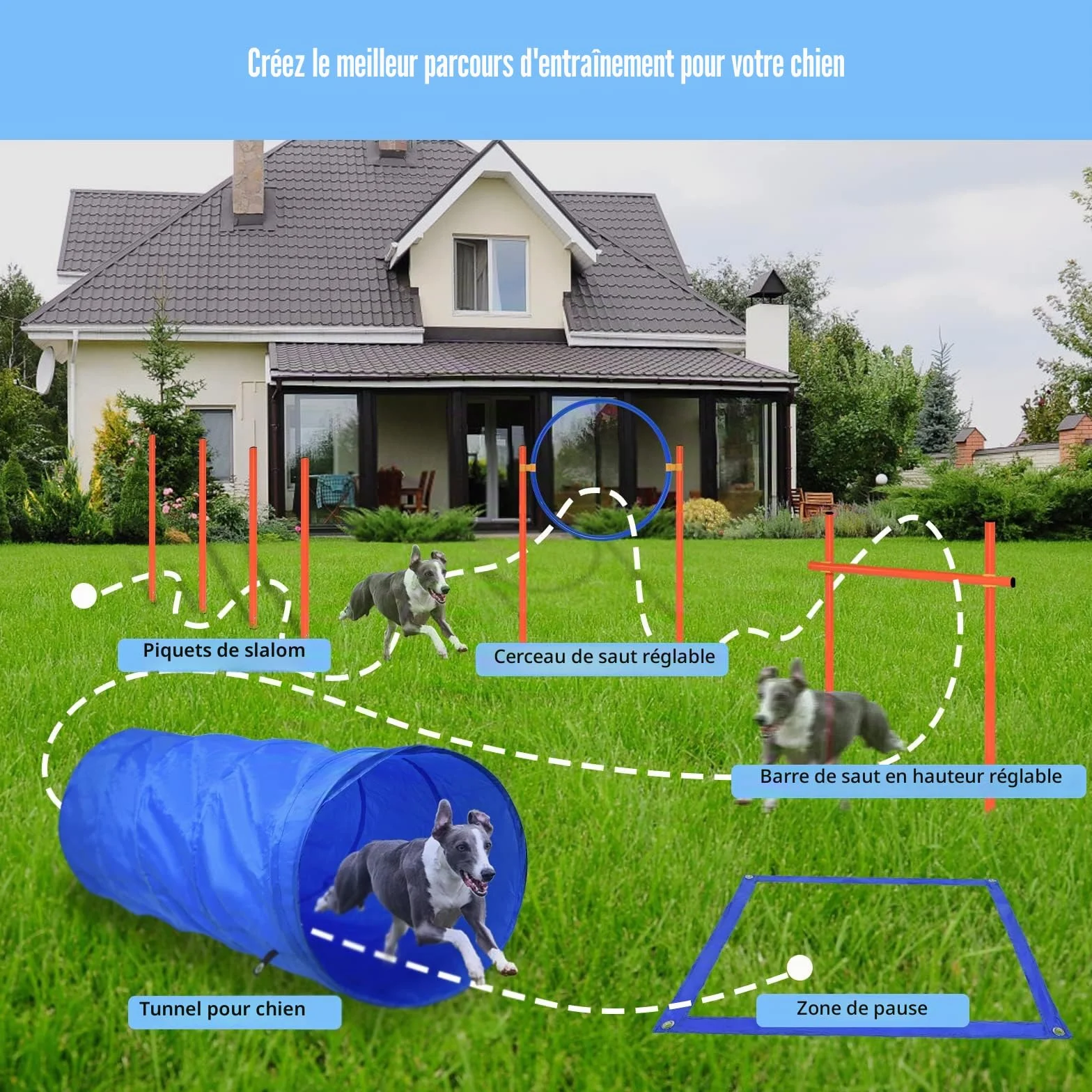 Kit d'équipement d'agilité pour chiens avec tunnel, barres de slalom réglables en hauteur et sac de transport
