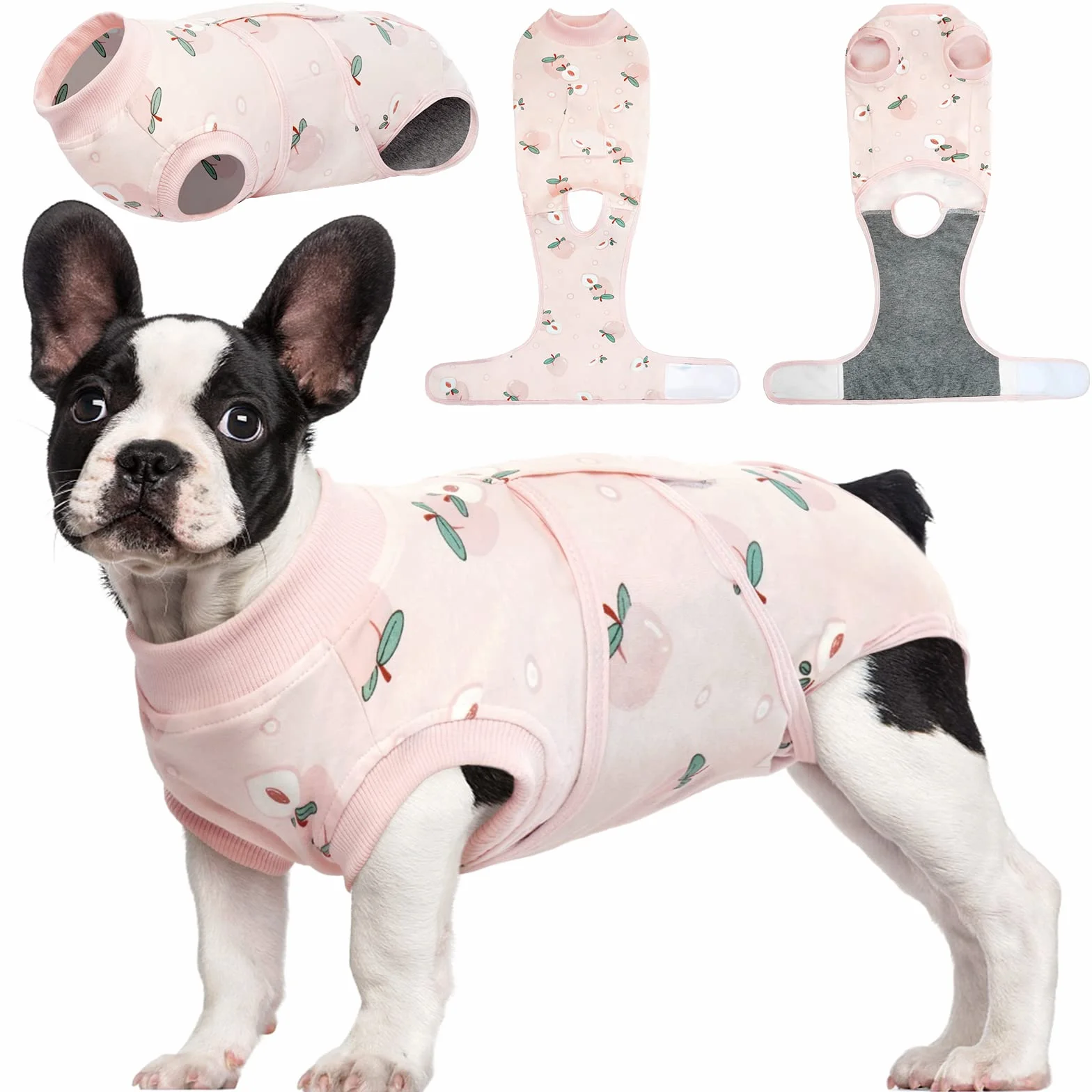 Kuoser Combinaison de convalescence chirurgicale pour chien, corps