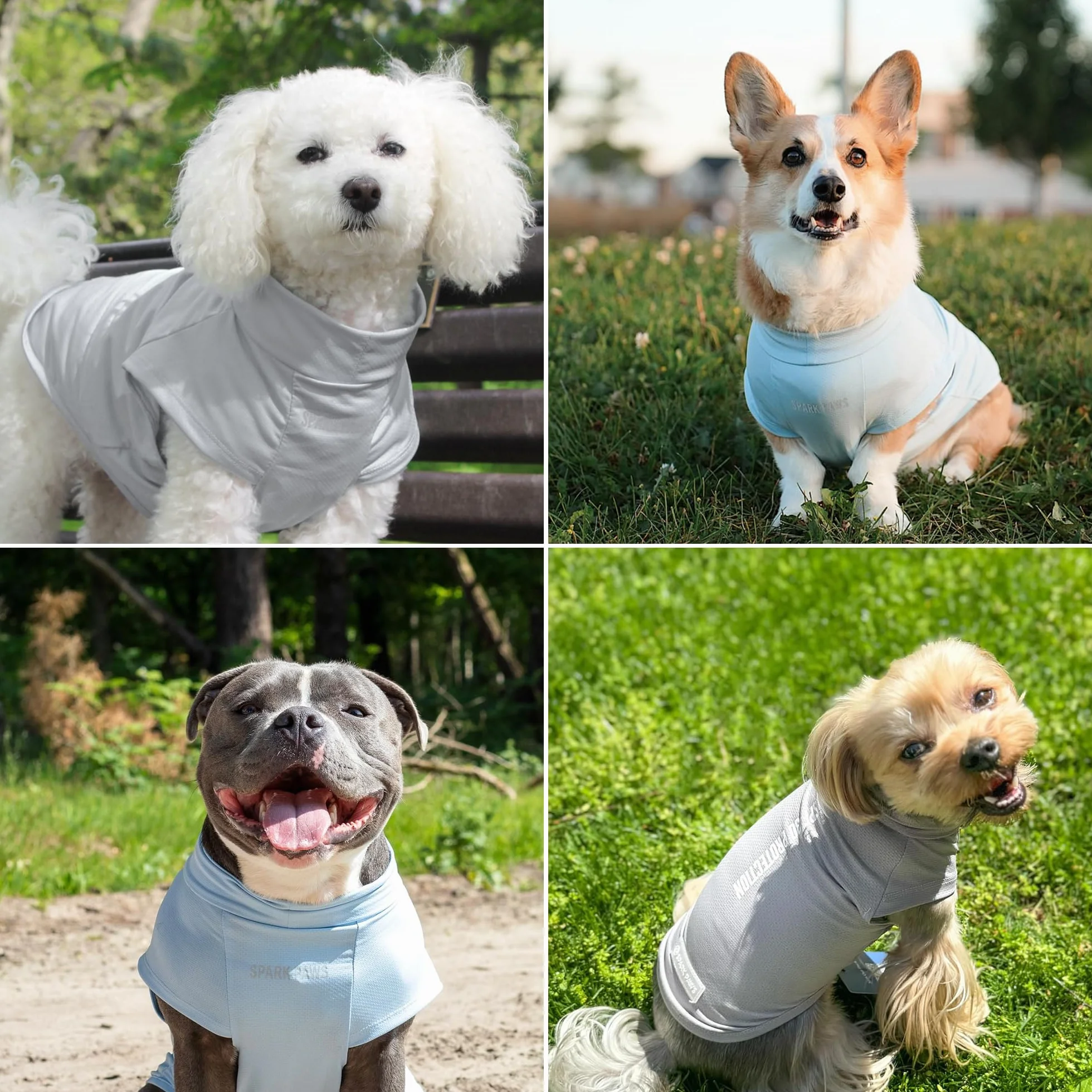 Spark Paws Lot de 2 T-shirts SPF30 Protection UV pour Chiens Peau Sensible Bleu Gris Taille 2XL