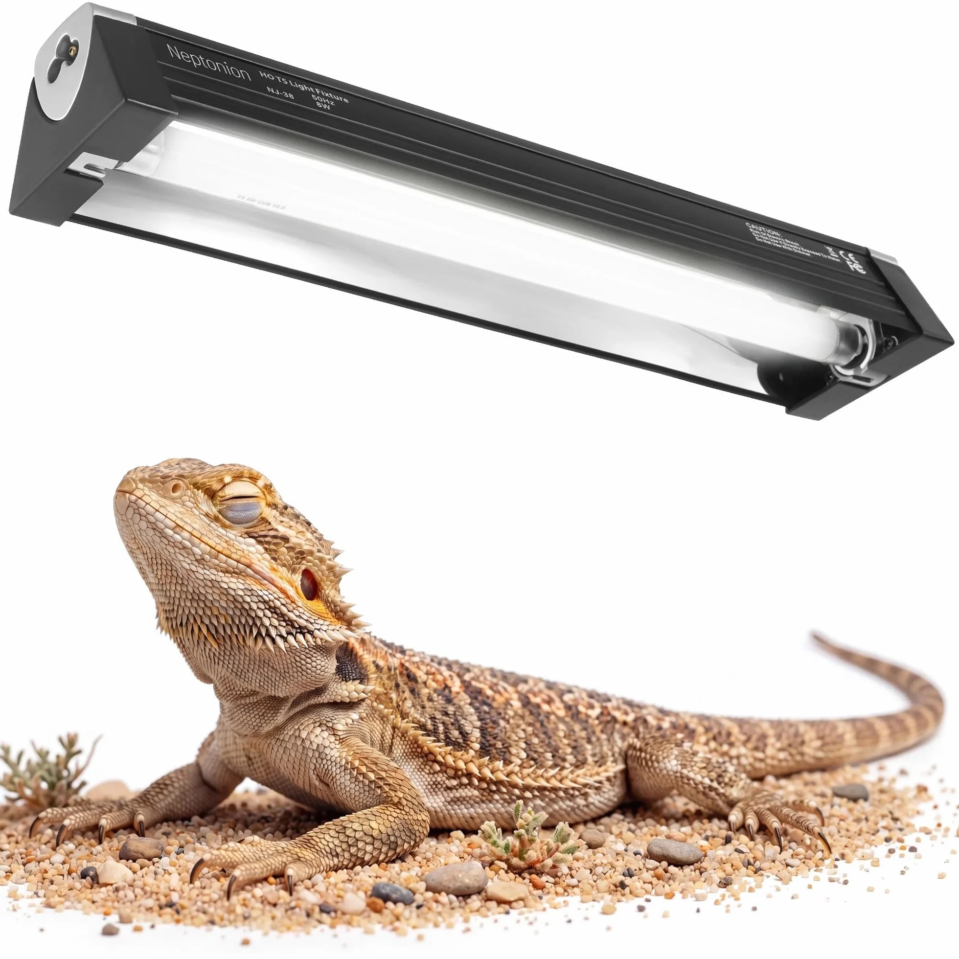 Lampe UVB pour reptile T5 12,5" 10.0 8 W NEPTONION haute puissance terrarium