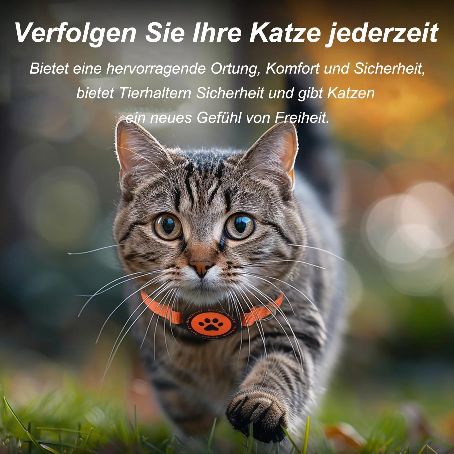 Collier Airtag pour Chat Extensible, Support Apple Air Tag, GPS, Ultra élastique, Orange