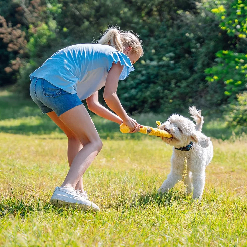Nobby Jouet pour Chien Peluche Chameau Corde Interne 55,5 cm