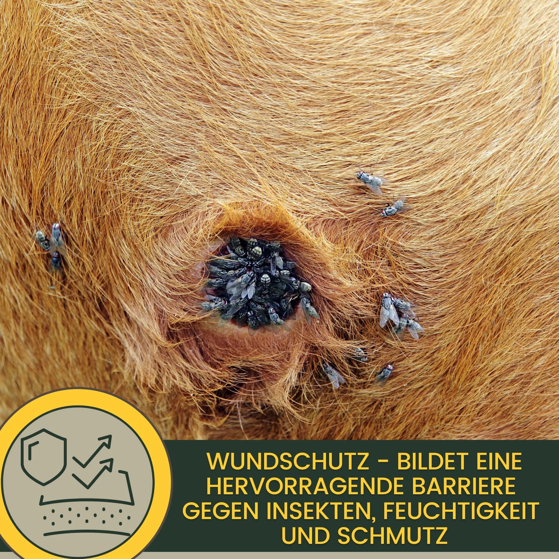 Emma Zinc Spray Cheval Pommade Protection Plaies Démangeaisons Chien Chat Pansement Vaporisateur Imperméable 0,25+0,2l