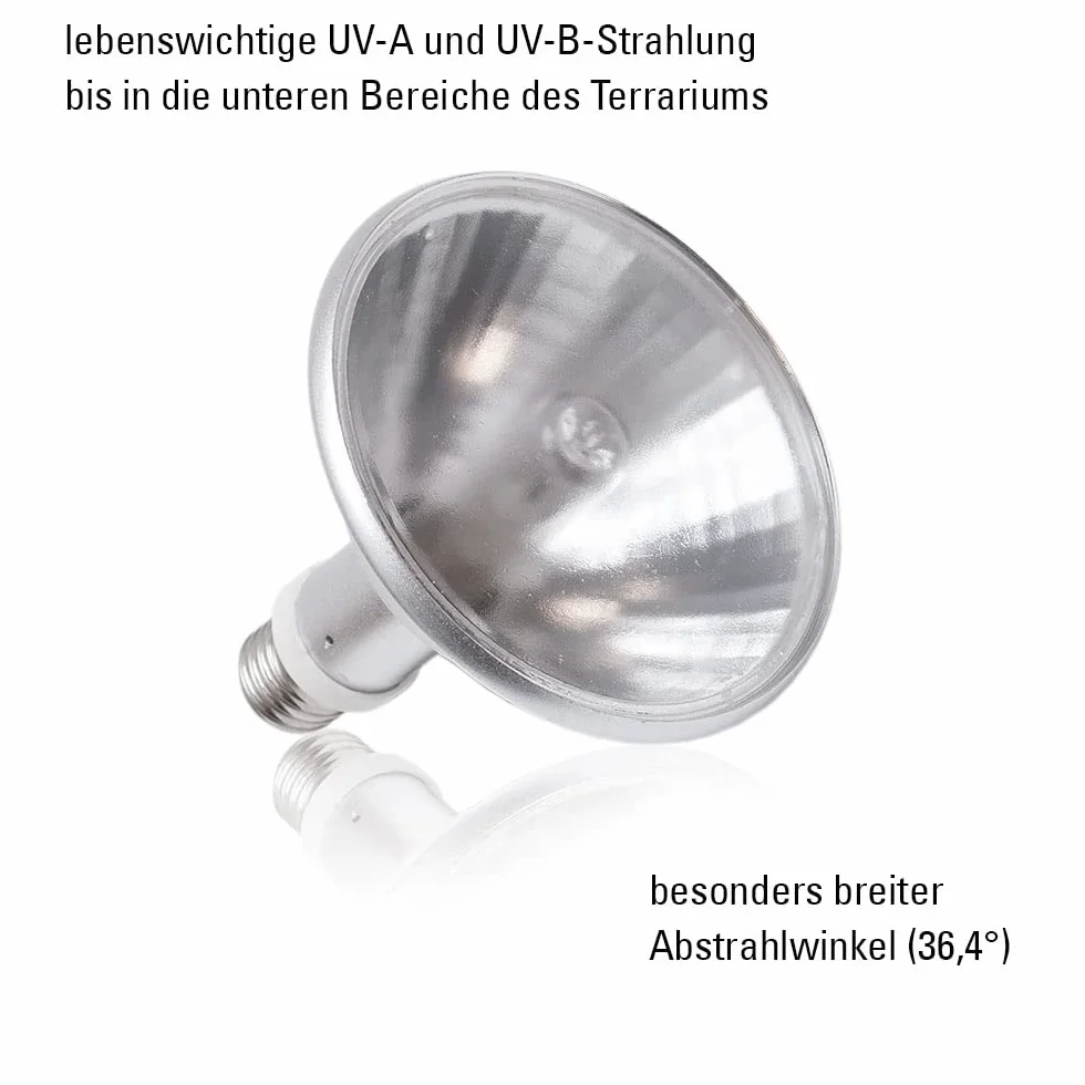 SolarRaptor Lampe UV à vapeur métallique 70 W Flood pour terrariums