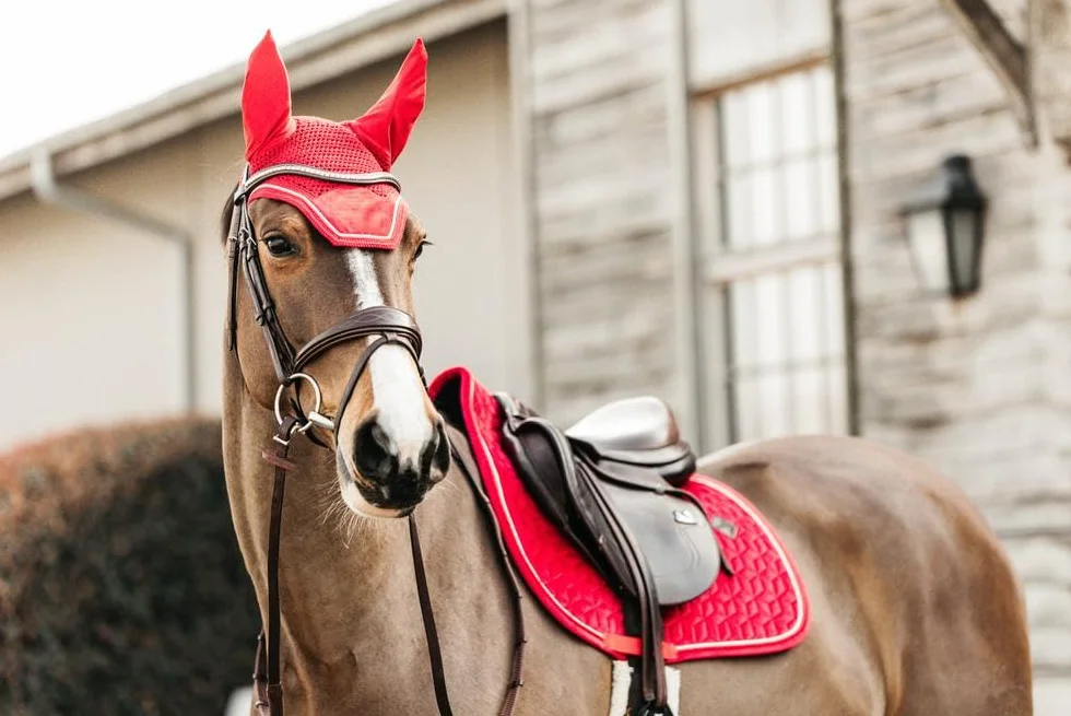Kentucky Horsewear Bonnet Wellington Velours Rouge Cheval
