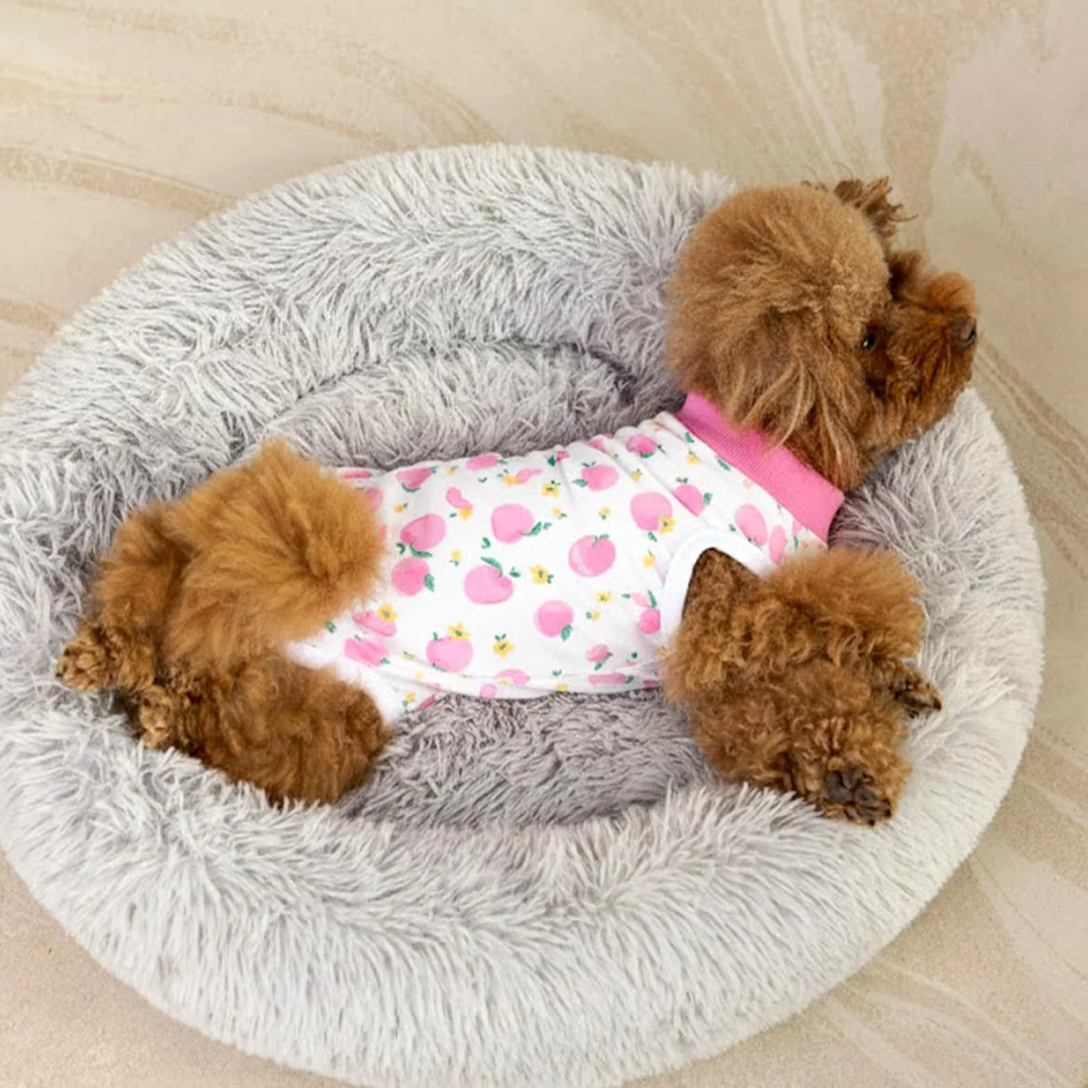 Combinaison de Récupération pour Chiens Chats Après Chirurgie, Body Post Opératoire pour Chien Petite Moyenne Taille