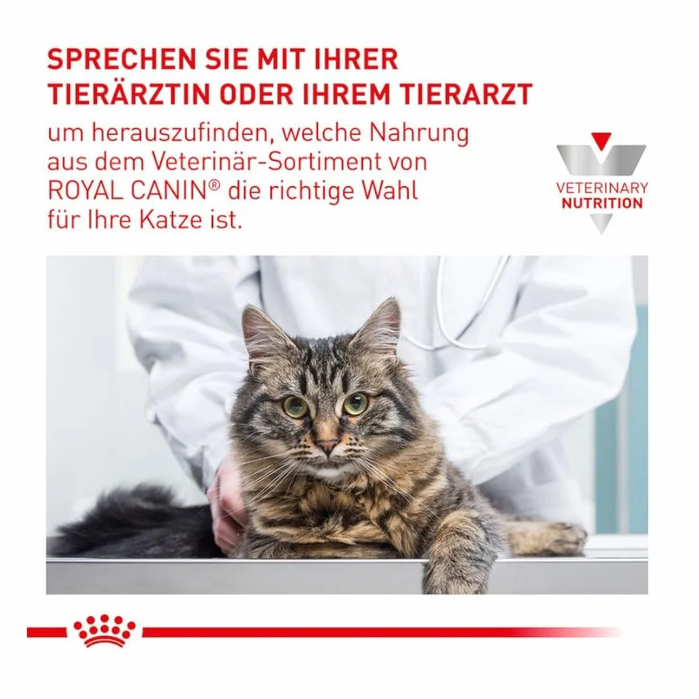Royal Canin Expert Neutered Satiety Balance 3,5 kg Alimentation sèche chats castrés
