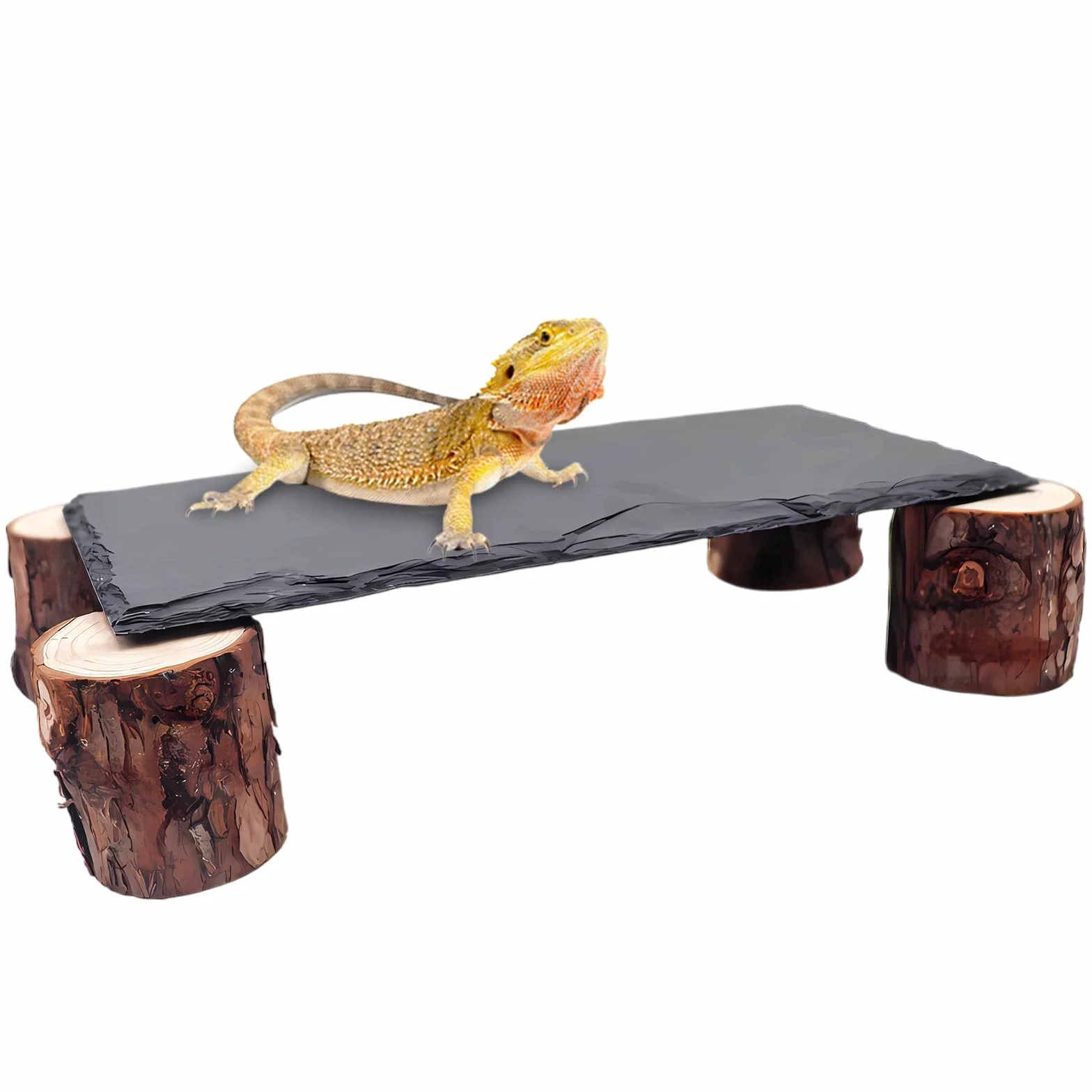 Dnoifne Plateforme de Baignade pour Reptiles – Roches en Ardoise avec Structure en Bois, Cachettes et Grottes pour Gecko Léopard, Accessoires de Terrarium pour Dragon Barbu, Python Royal, Tortue