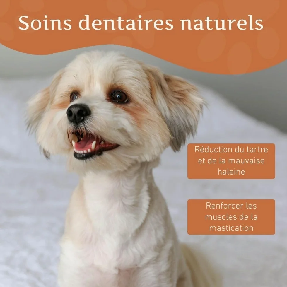 Wildfang Fromage de Yak Jouet pour Chien à Mâcher S 40g Lot de 3 Bâtonnet Dentaire Churpi