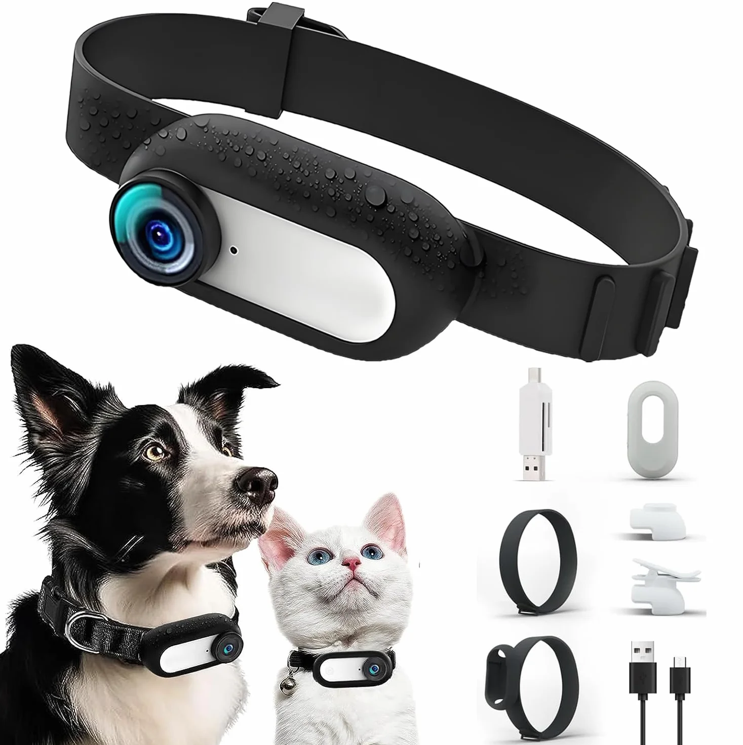 Caméra pour Collier pour Animaux de Compagnie Denash, écran LCD 1080P Grand Angle 170° Rechargeable USB