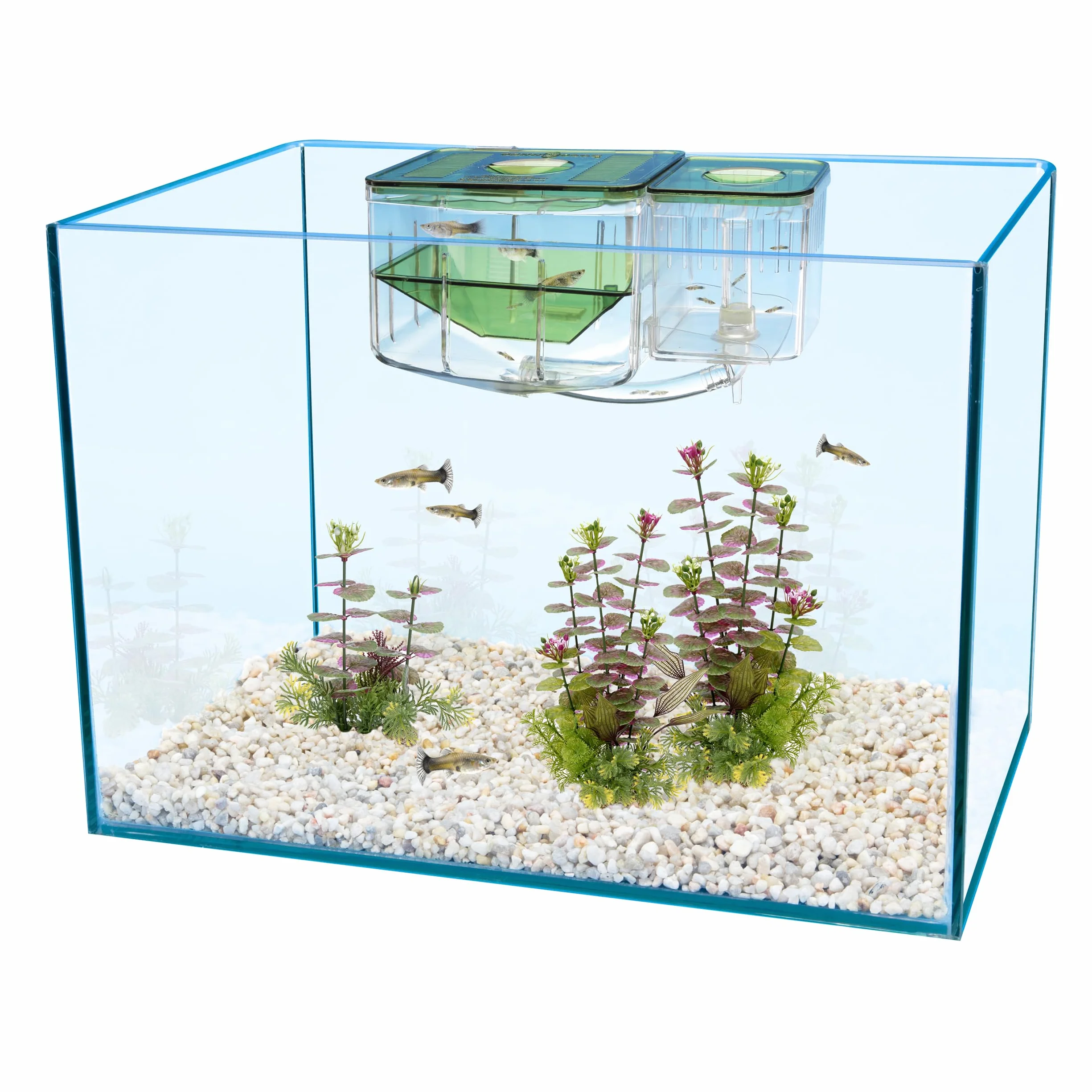 Penn-Plax AN2 Aqua Nursery and Hatchery, boîte d'élévage pour Aquarium