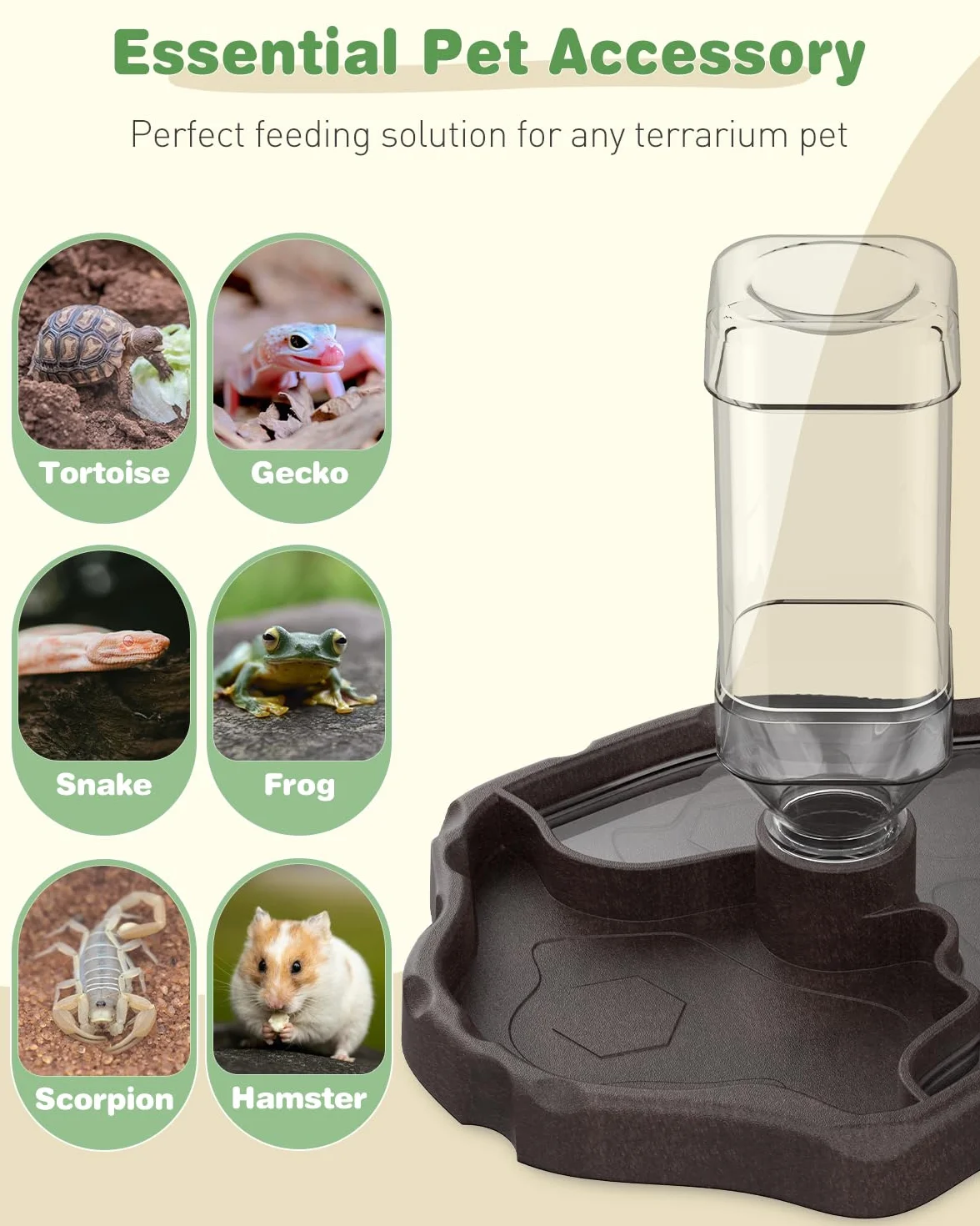 Pawfly Bol à Eau pour Tortues - Gamelle Automatique pour Reptiles avec Distributeur d'eau