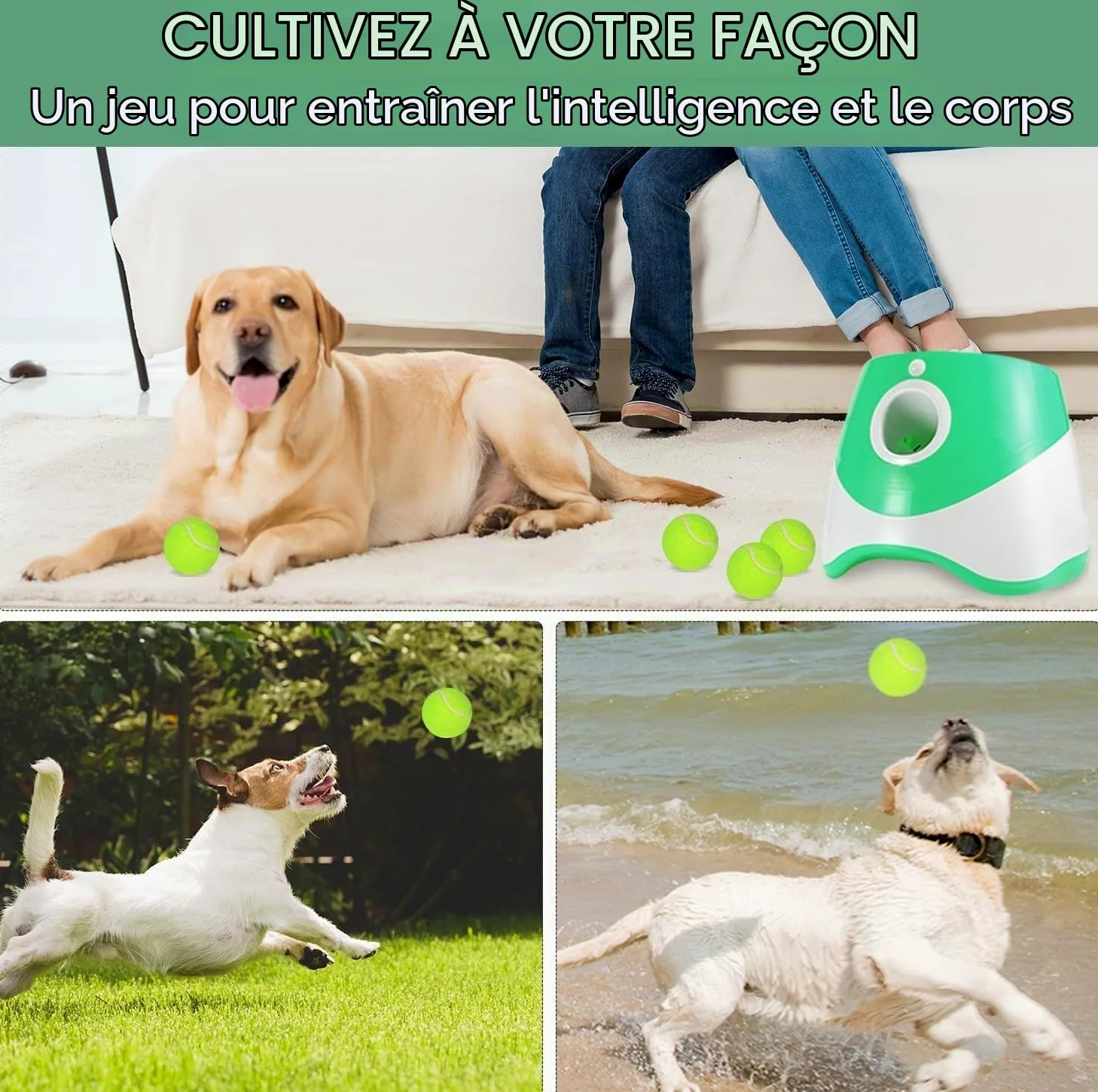 Lanceur Automatique De Balle Pour Chien, Lanceur De Balle Interactif Rechargeable à 3 Modes Pour Intérieur Et Extérieur Avec 3 Distances De Lancement Pour Chiens De Petite Et Moyenne Taille, Intérieur