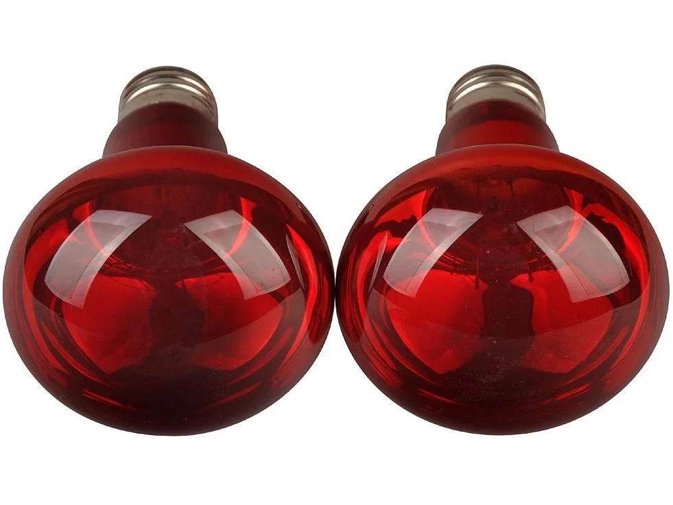 LUCKY HERP Lot de 2 ampoules chauffantes infrarouges pour reptiles E27 50 W