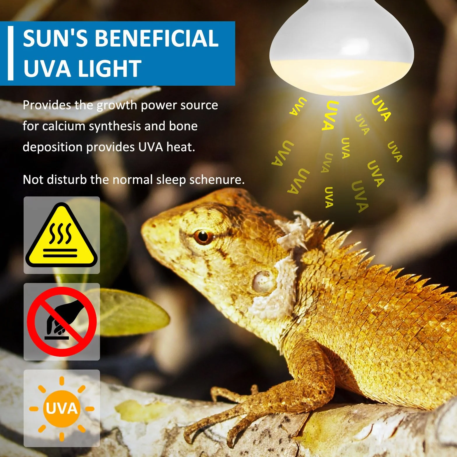 Ampoule Chauffante Terrarium 100W UVA E27 R80 Basking Spot AC 220V Reptile