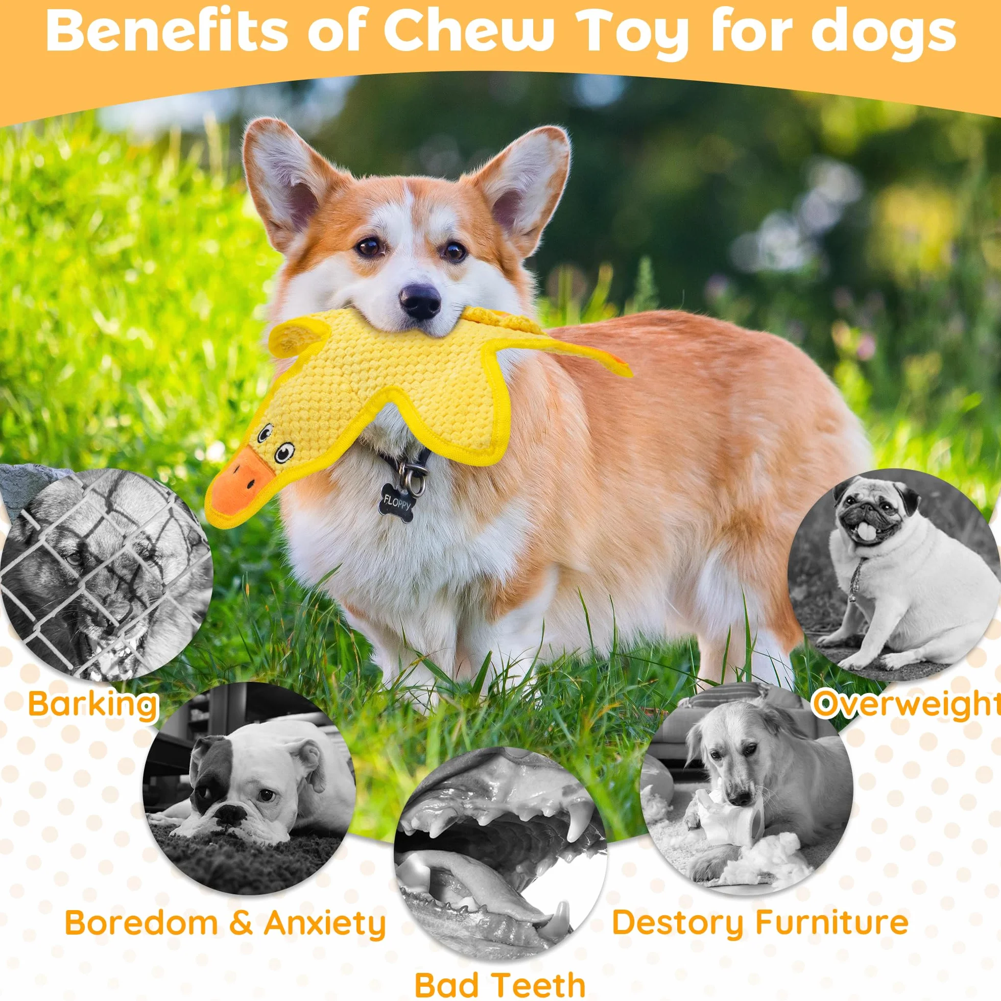 jouets couineurs en forme de canard pour chien lot de 3 sans rembourrage grande taille