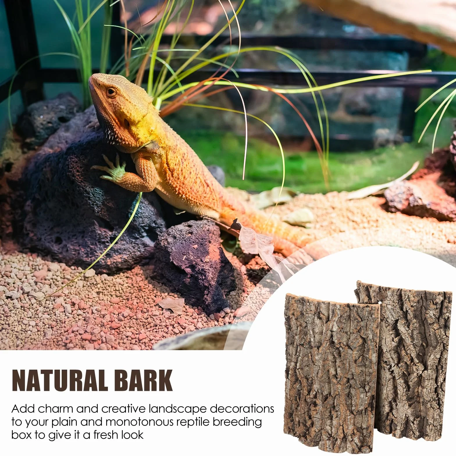 Lot de 2 parois arrière en écorce de liège pour terrarium - Aspect naturel - Surface d'escalade pour reptiles gecko, barbes, tortues