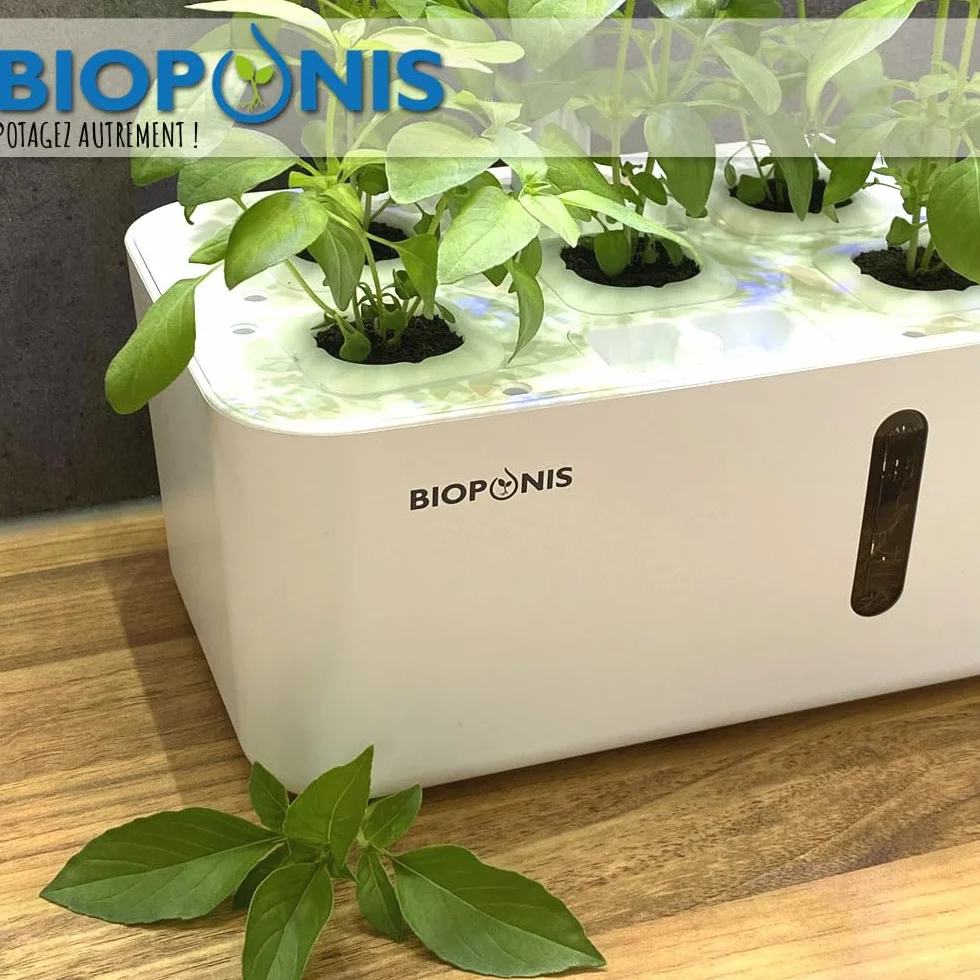 Bouchon Noir pour Potager d'Intérieur Hydroponique - Lot de 10