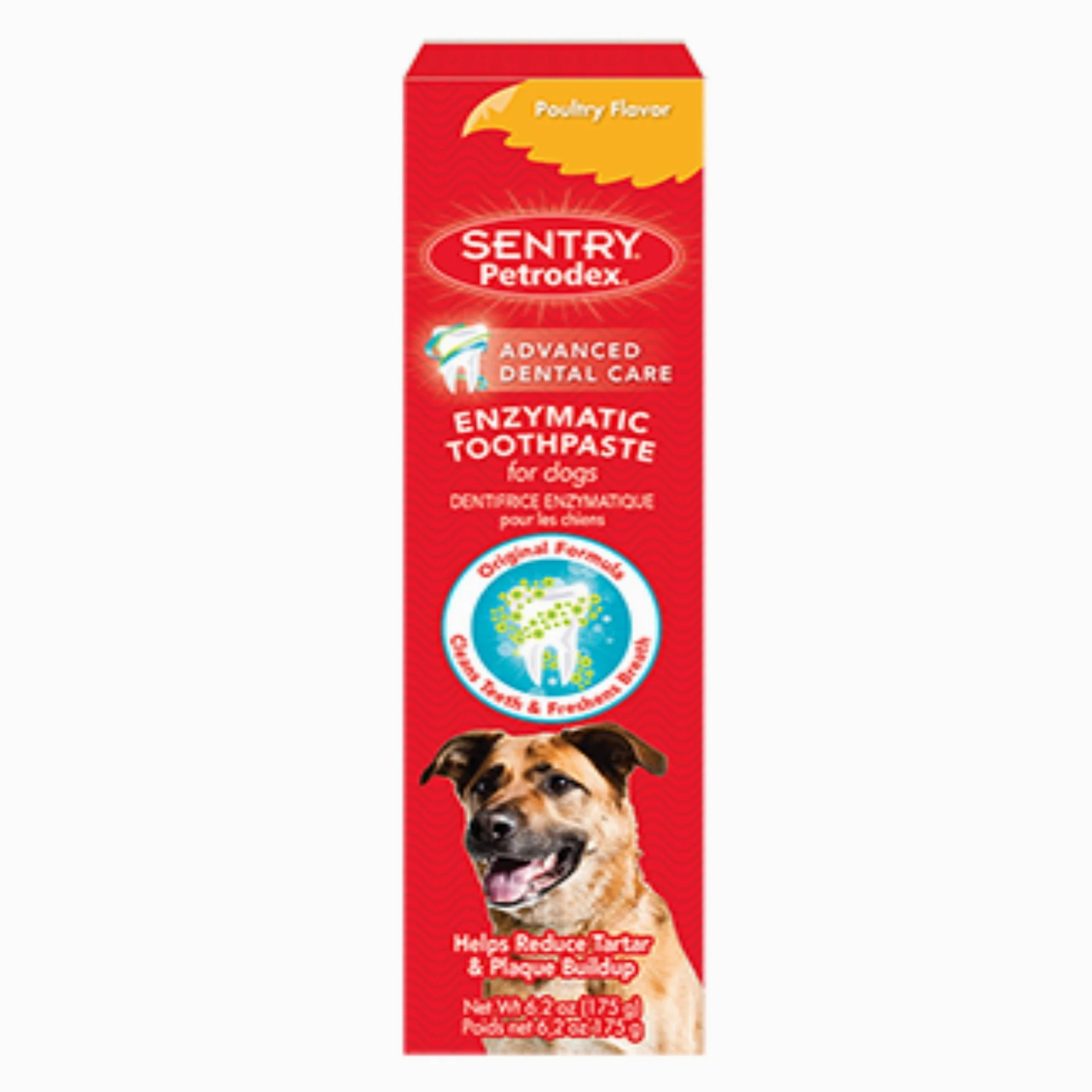 Petrodex Dental Enozymatic Toothpaste Poultry Flavor for Dogs 6.2 oz - 10 Pack