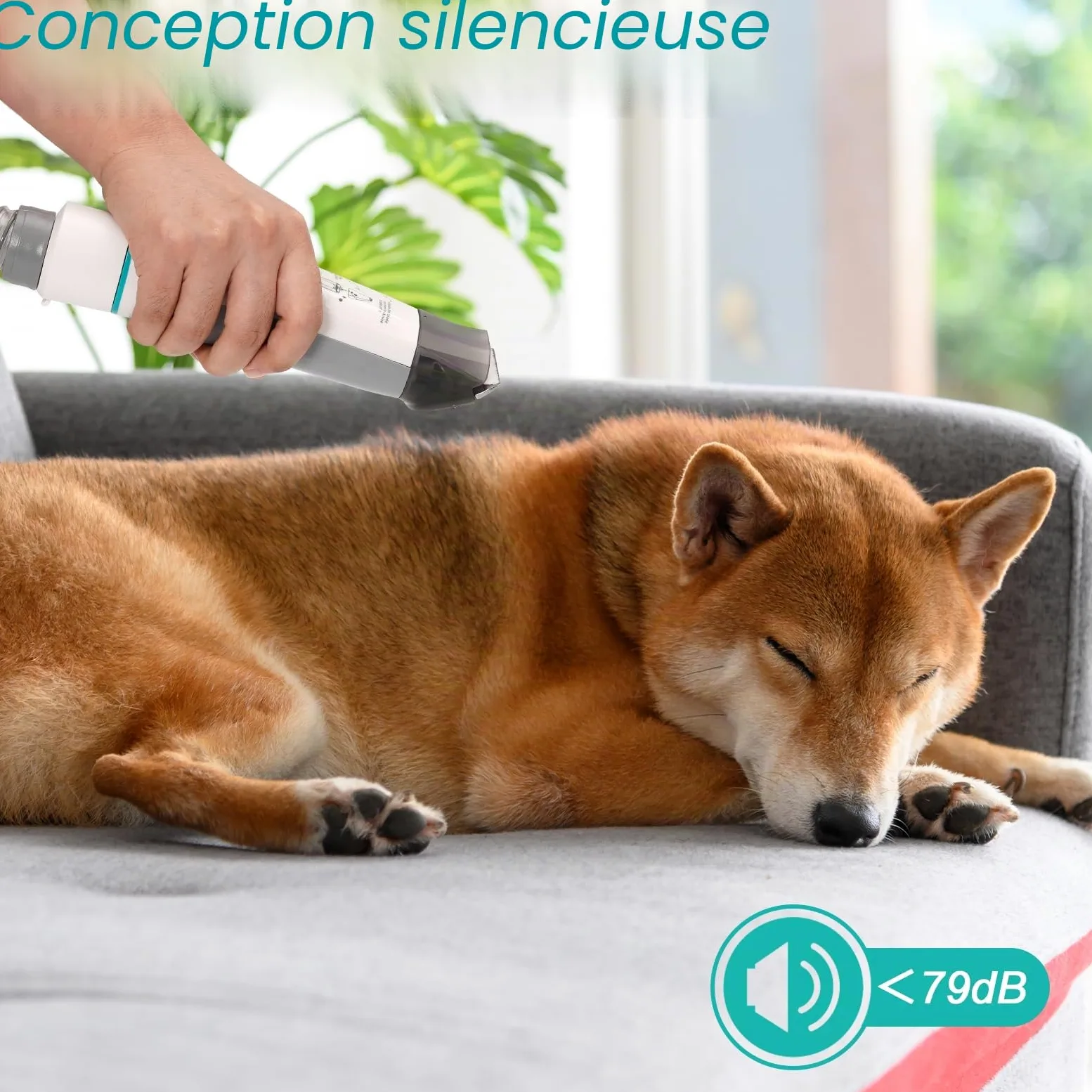 Tondeuse pour chien avec aspirateur, 13000 PA avec 7 outils d'entretien, tondeuse à pattes, brosse, peigne, 3 niveaux d'aspiration réglables