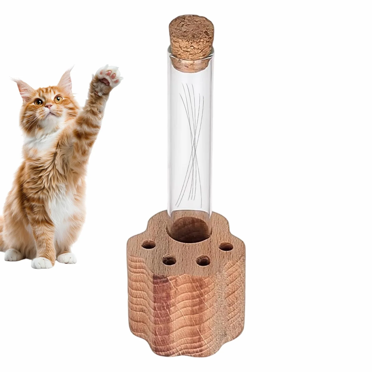Collecteur de moustaches de chat en verre commémoratif transparent flacon souvenir élégant préservation artisanale durable